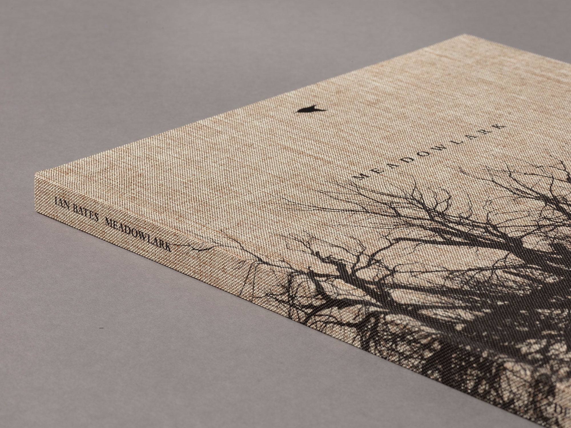 Meadowlark - Ian Bates