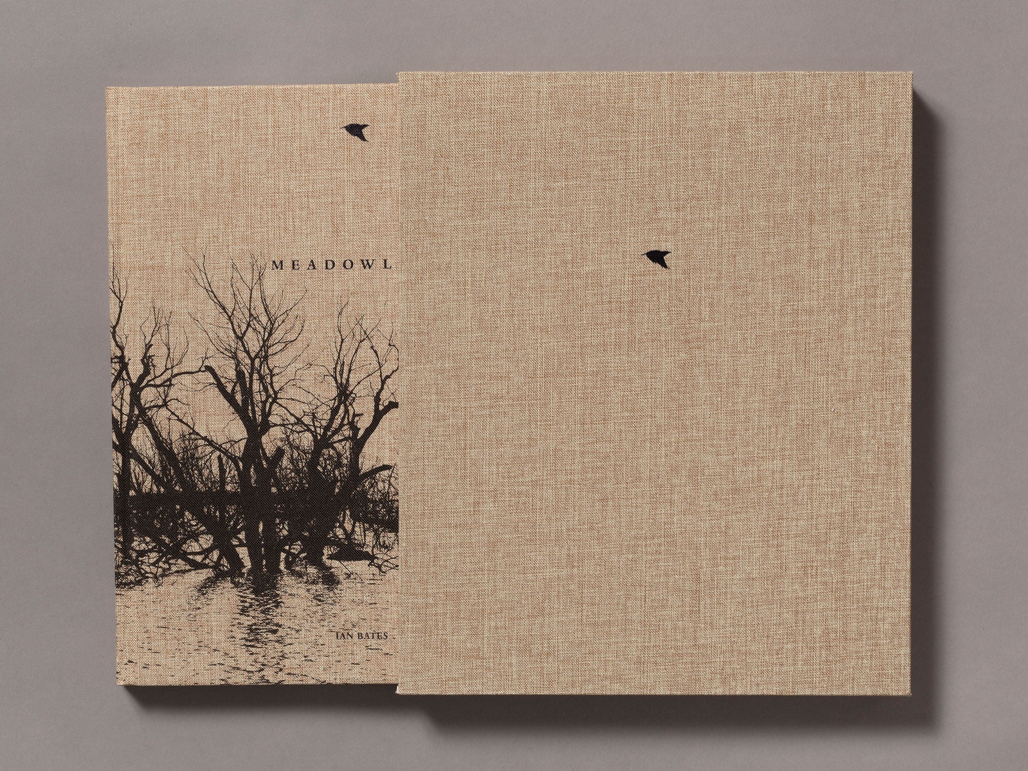 Special Edition / Meadowlark - Ian Bates