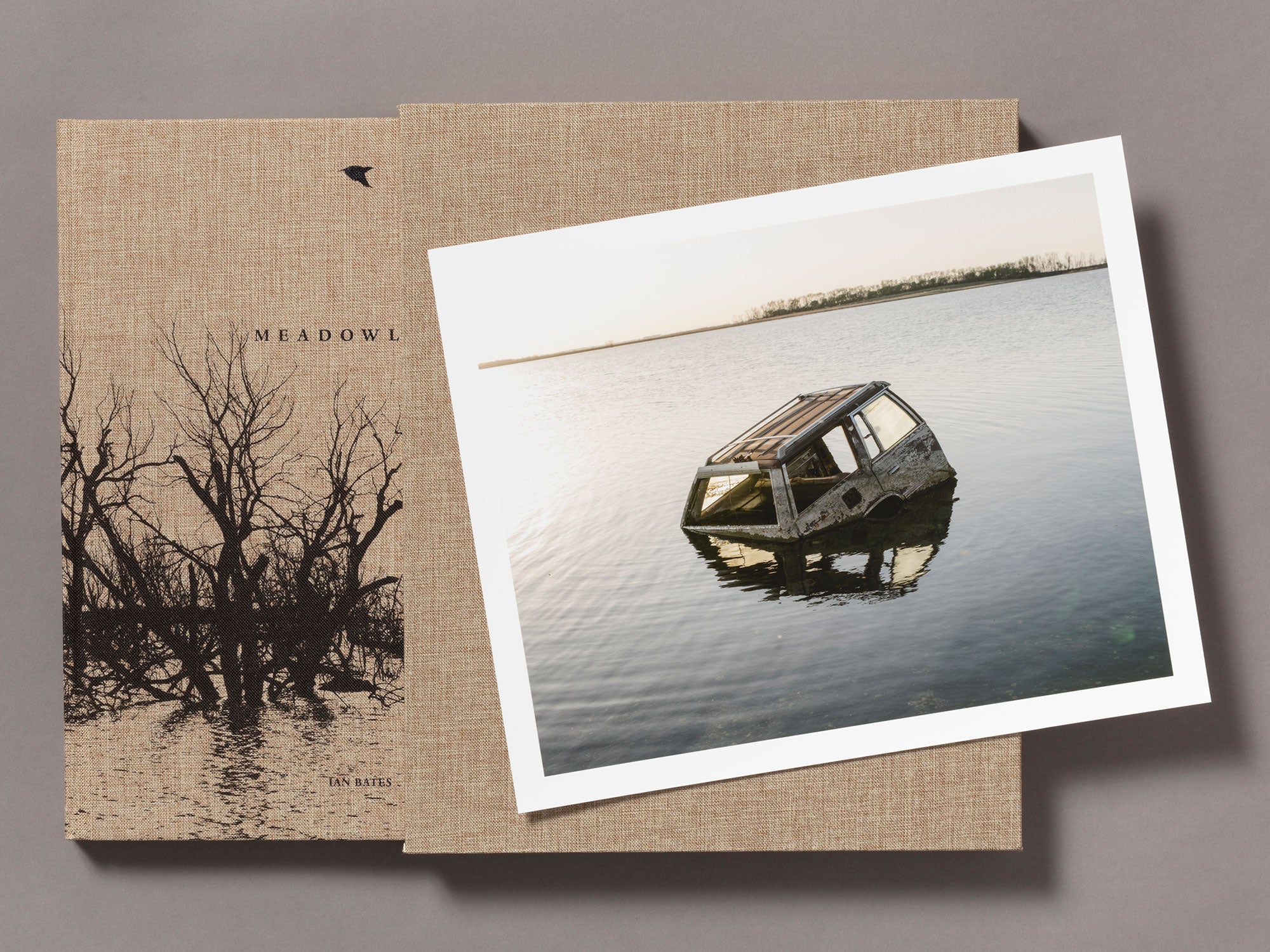 Special Edition / Meadowlark - Ian Bates