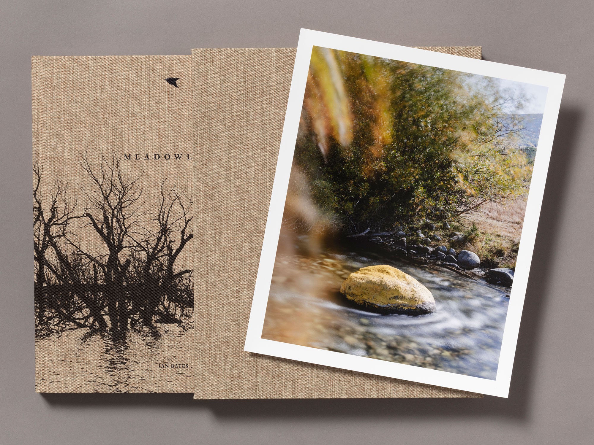 Special Edition / Meadowlark - Ian Bates