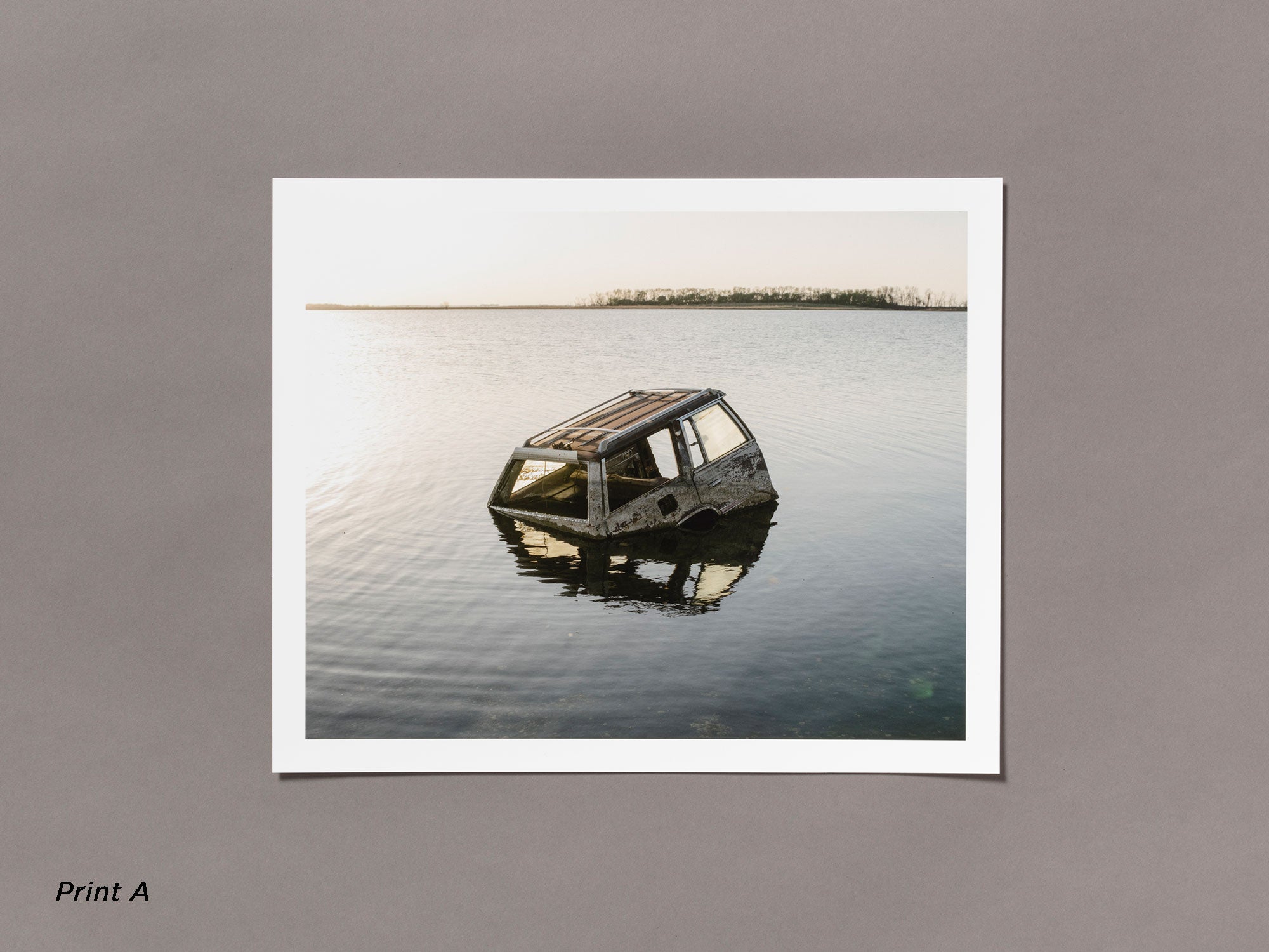 Special Edition / Meadowlark - Ian Bates