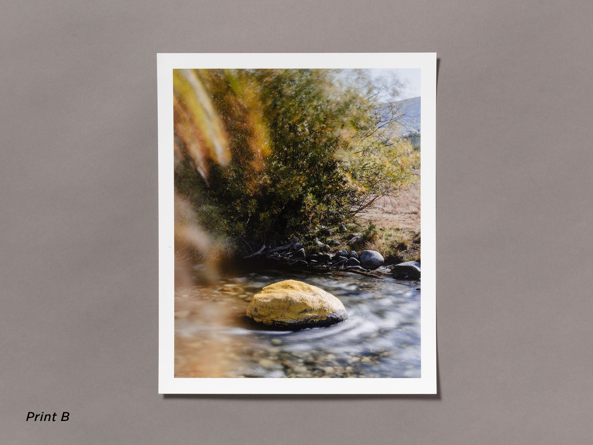 Special Edition / Meadowlark - Ian Bates