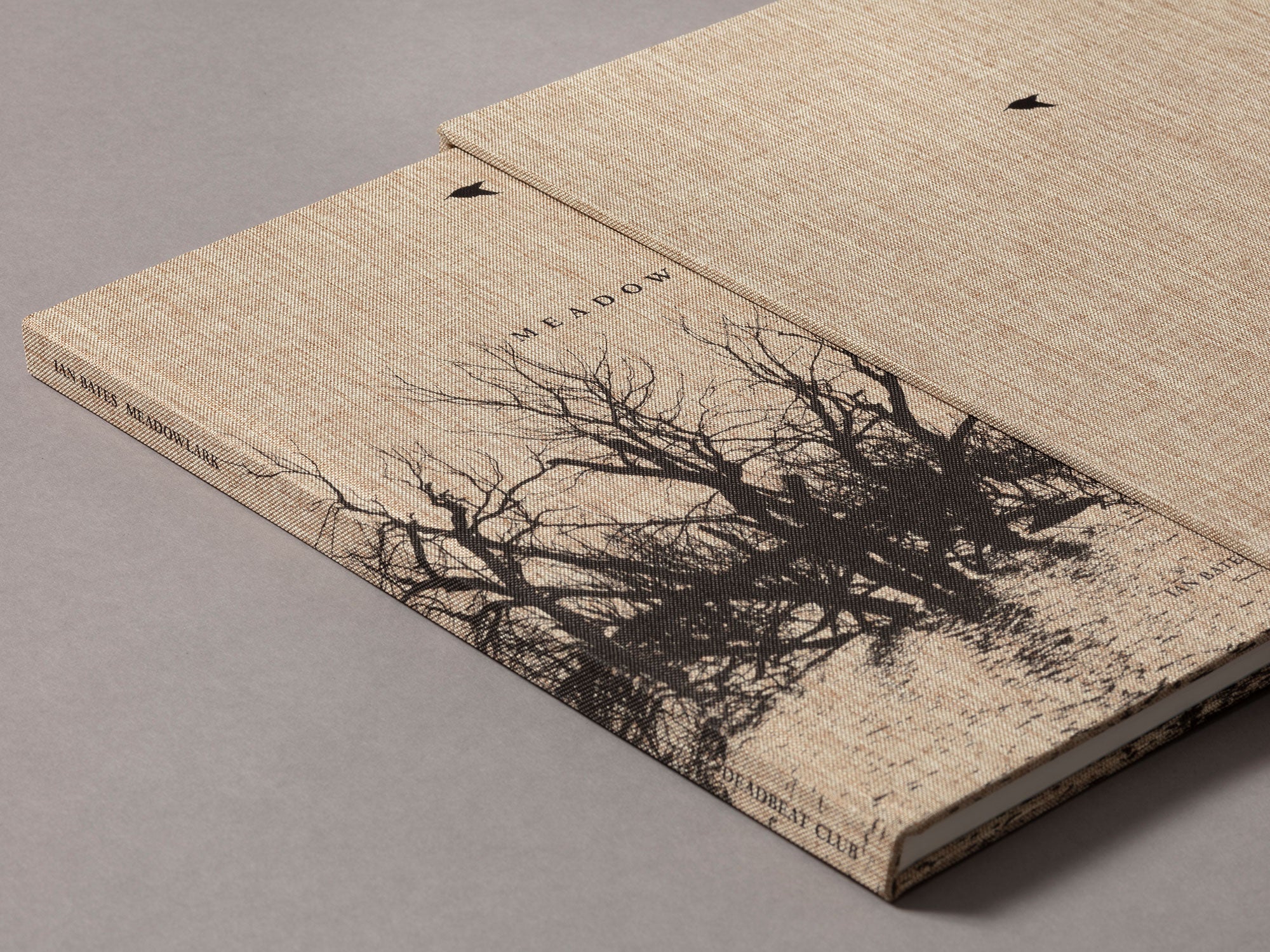 Special Edition / Meadowlark - Ian Bates