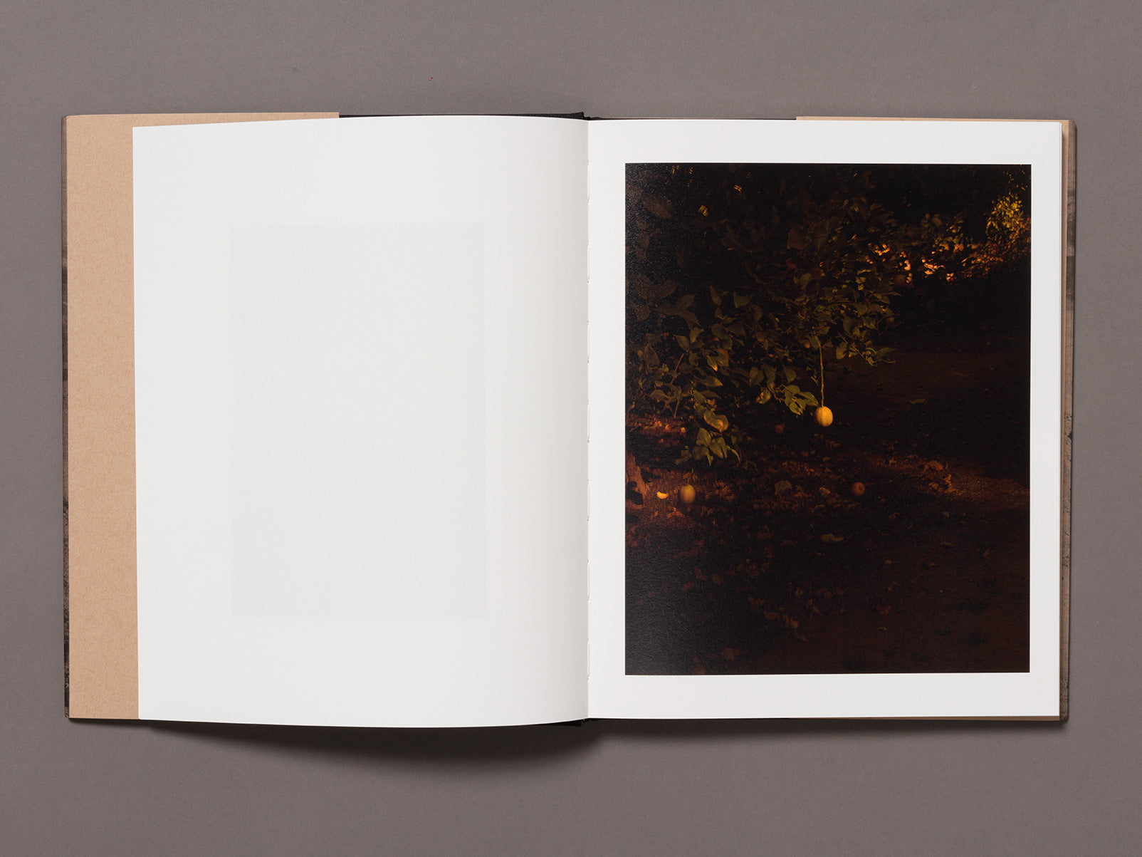 and in its place, another - Kovi Konowiecki