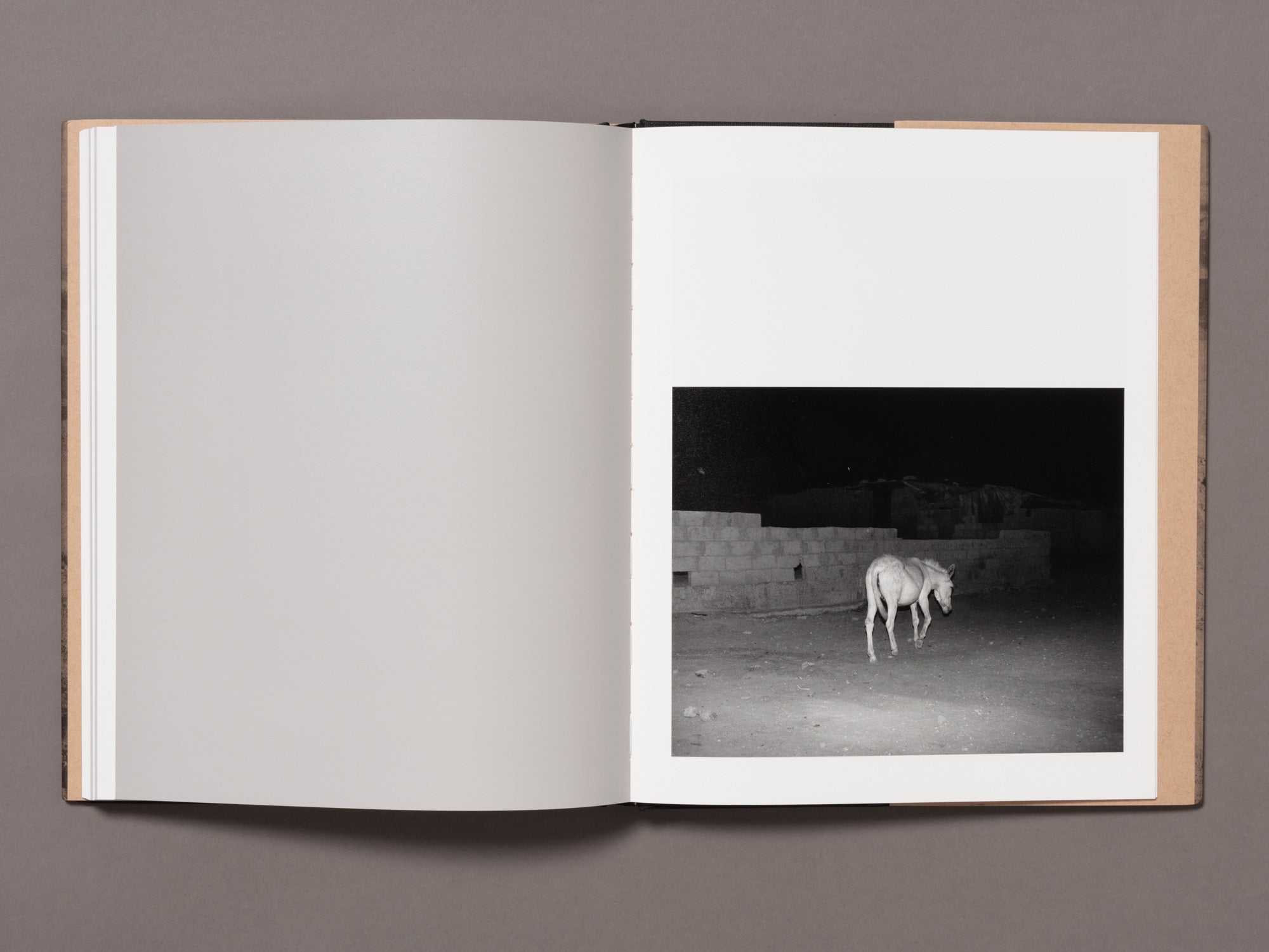 and in its place, another - Kovi Konowiecki