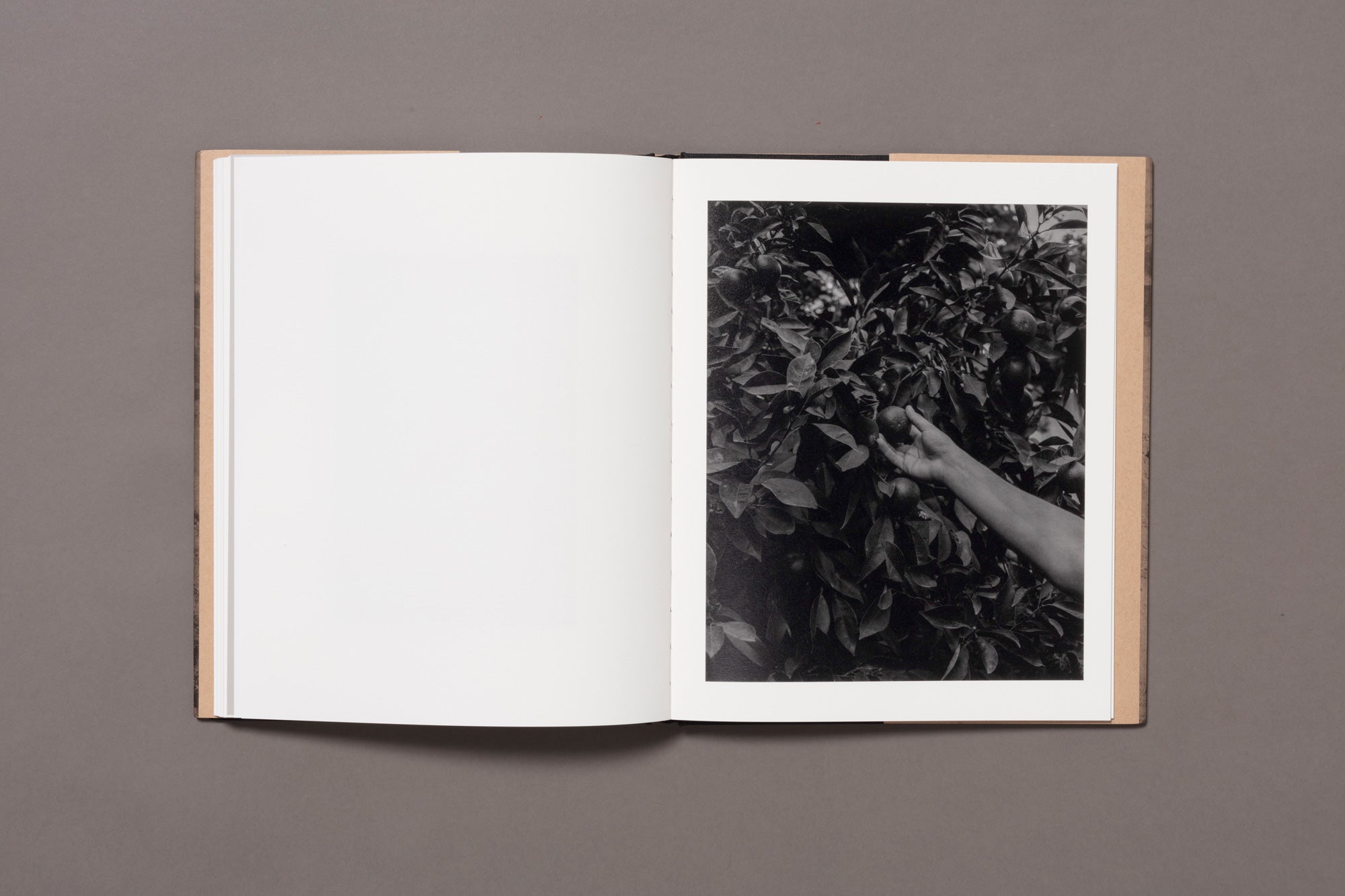 and in its place, another - Kovi Konowiecki