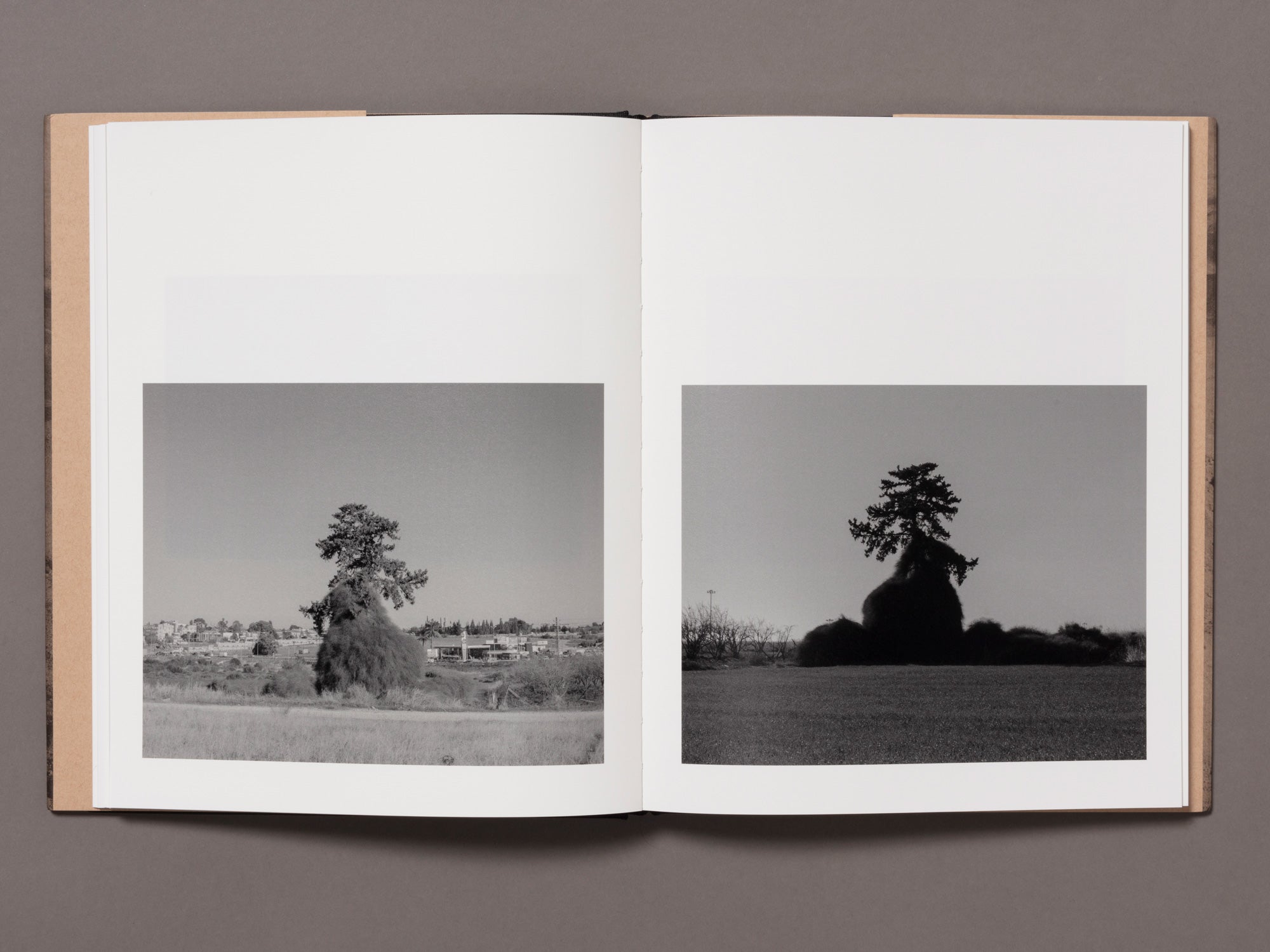 and in its place, another - Kovi Konowiecki