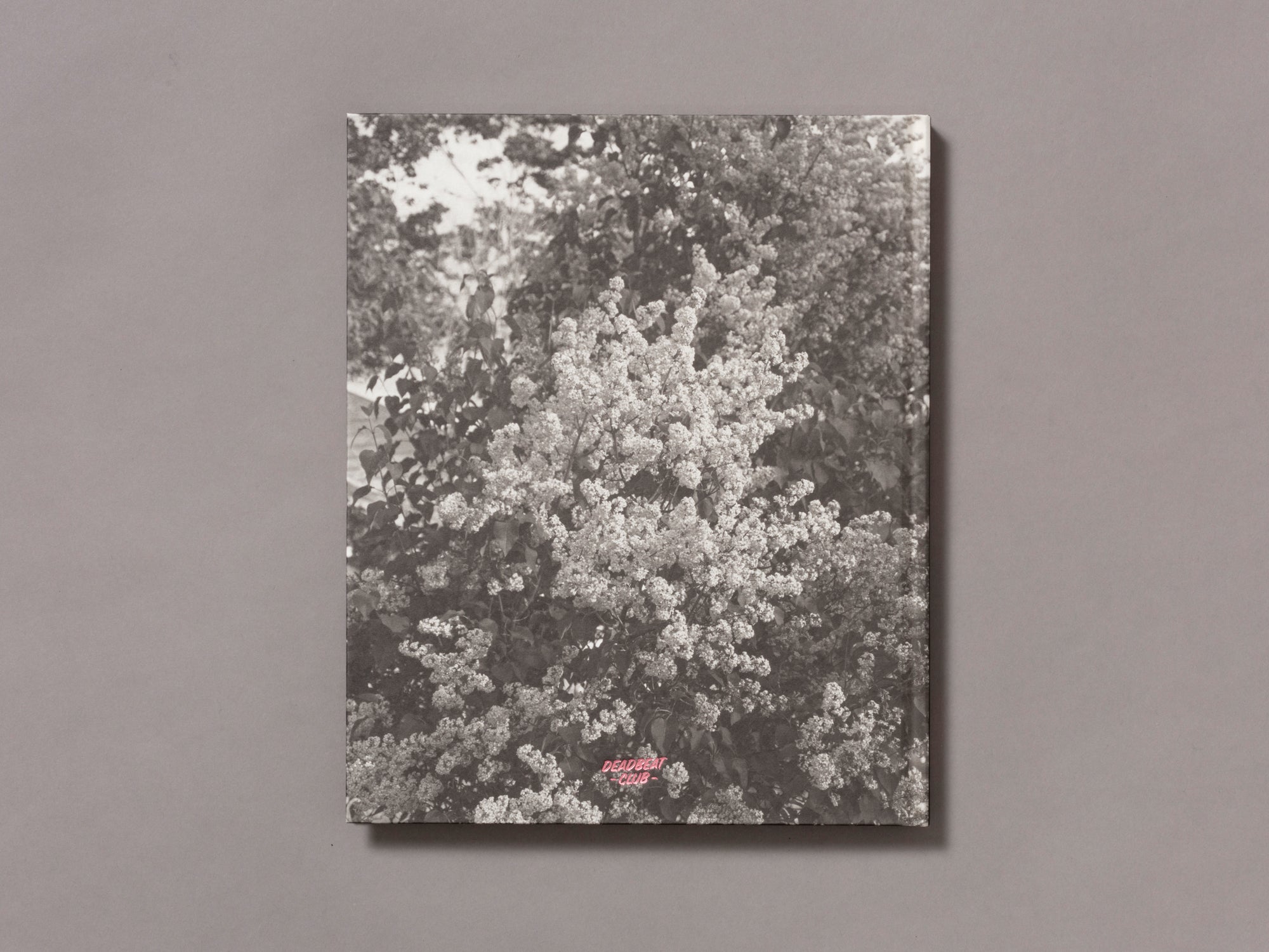 Let Me Sow Love - Roger Richardson