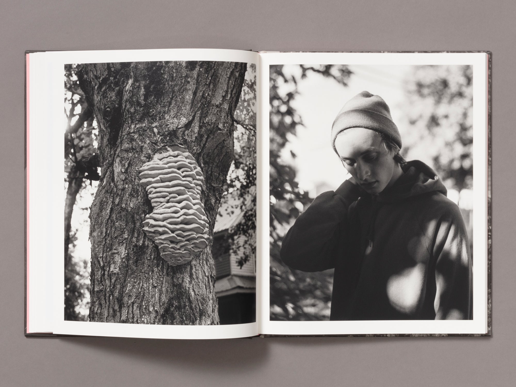 Let Me Sow Love - Roger Richardson