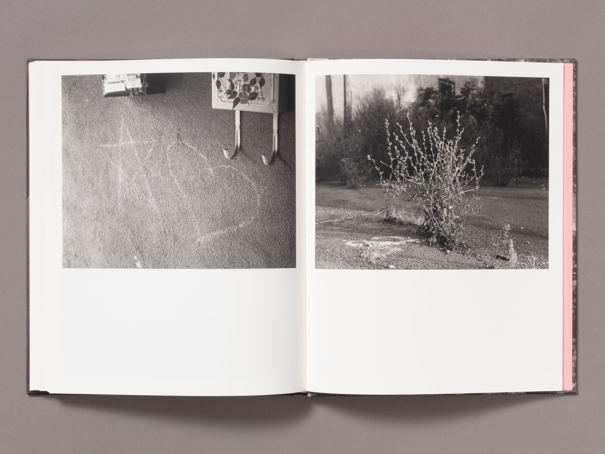 Special Edition / Let Me Sow Love - Roger Richardson