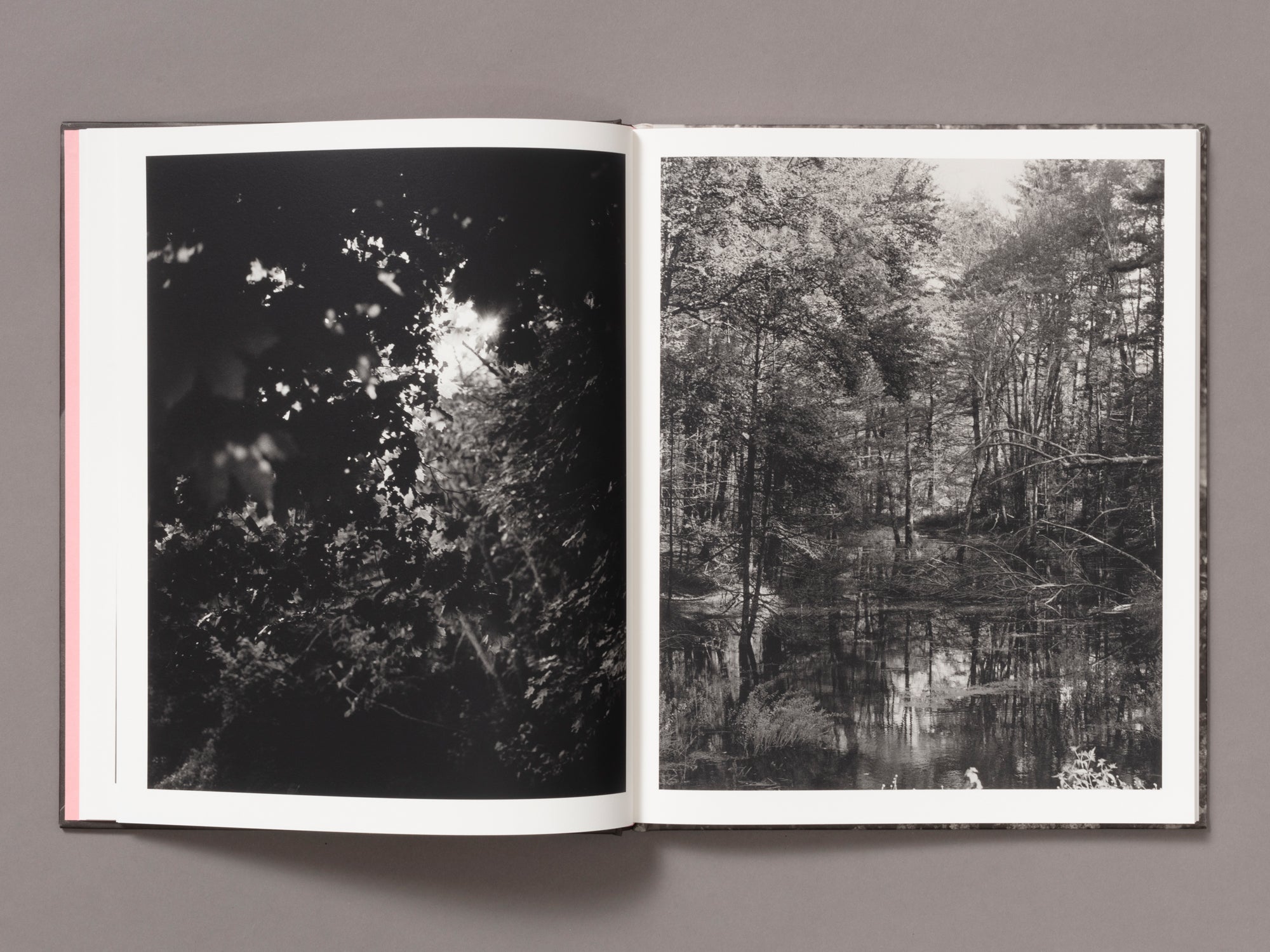 Let Me Sow Love - Roger Richardson