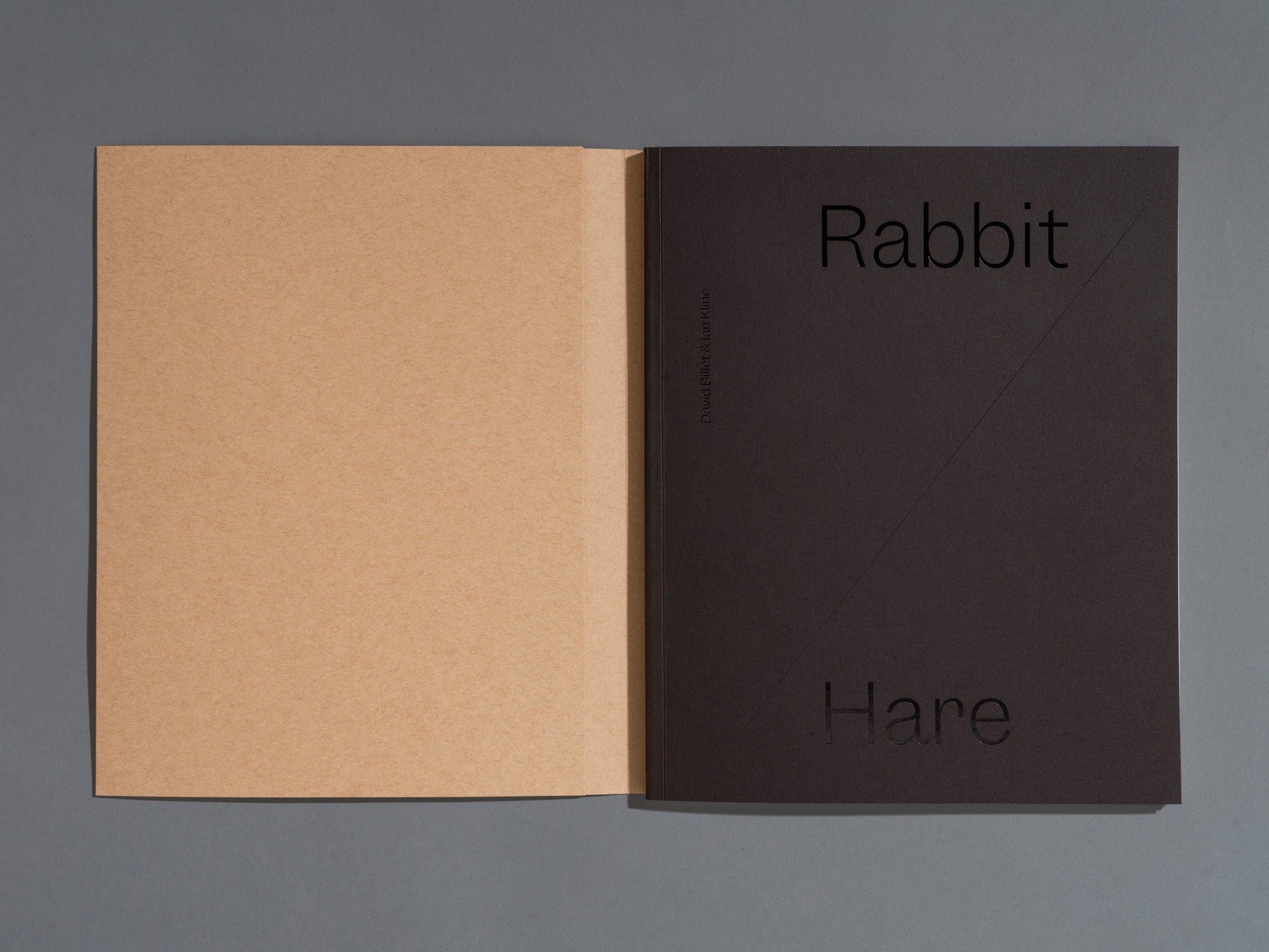 Rabbit/Hare - David Billet & Ian Kline