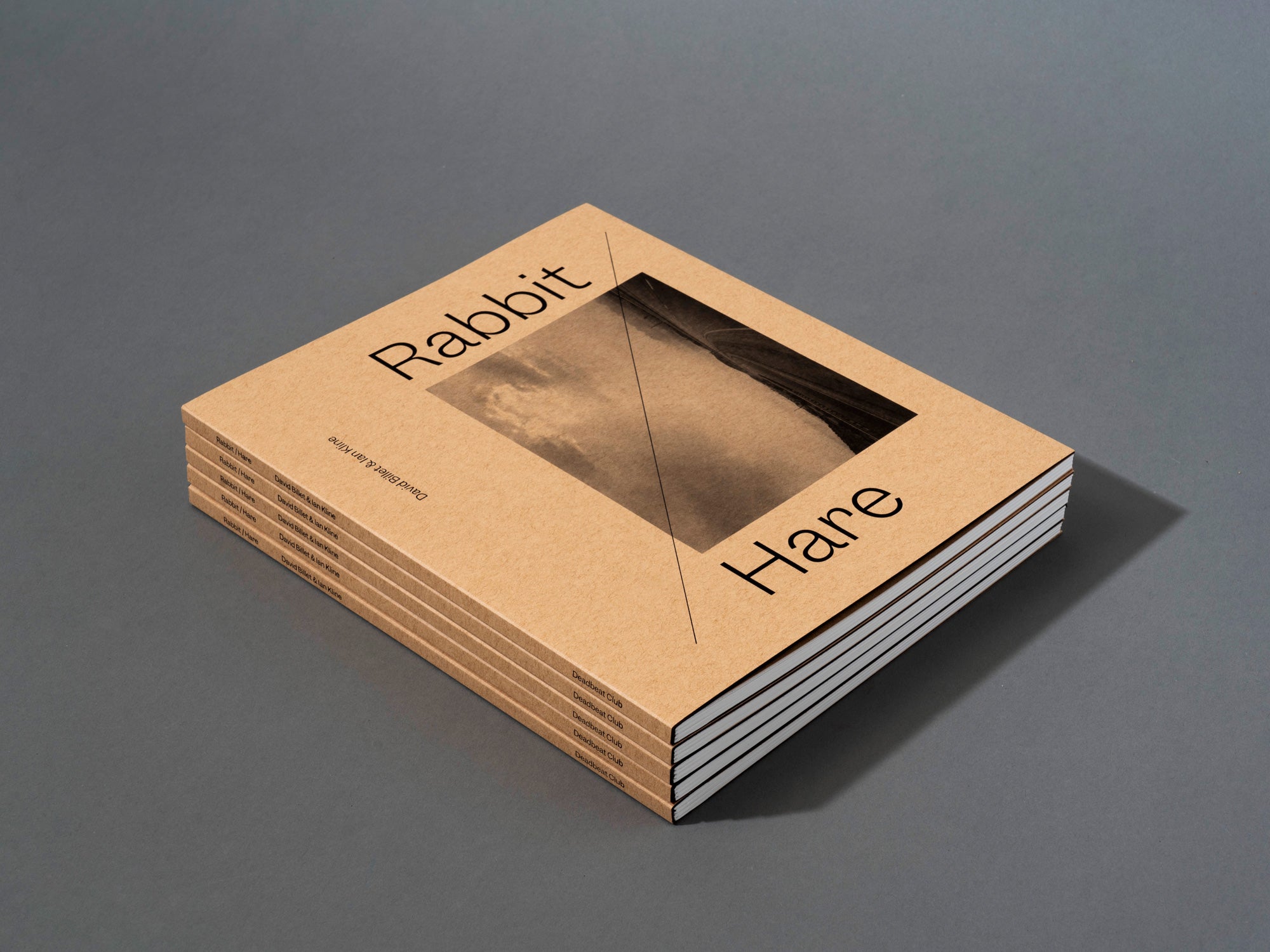 Rabbit/Hare - David Billet & Ian Kline