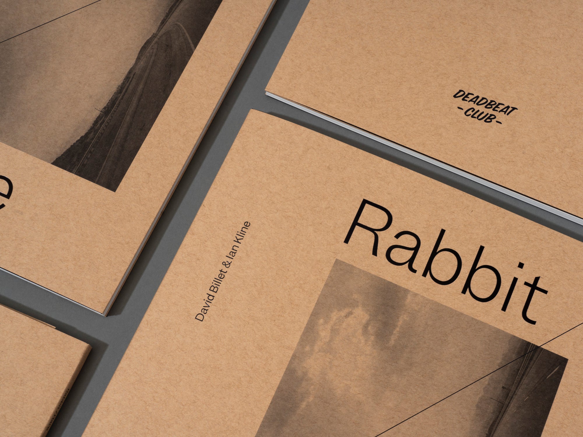 Rabbit/Hare - David Billet & Ian Kline