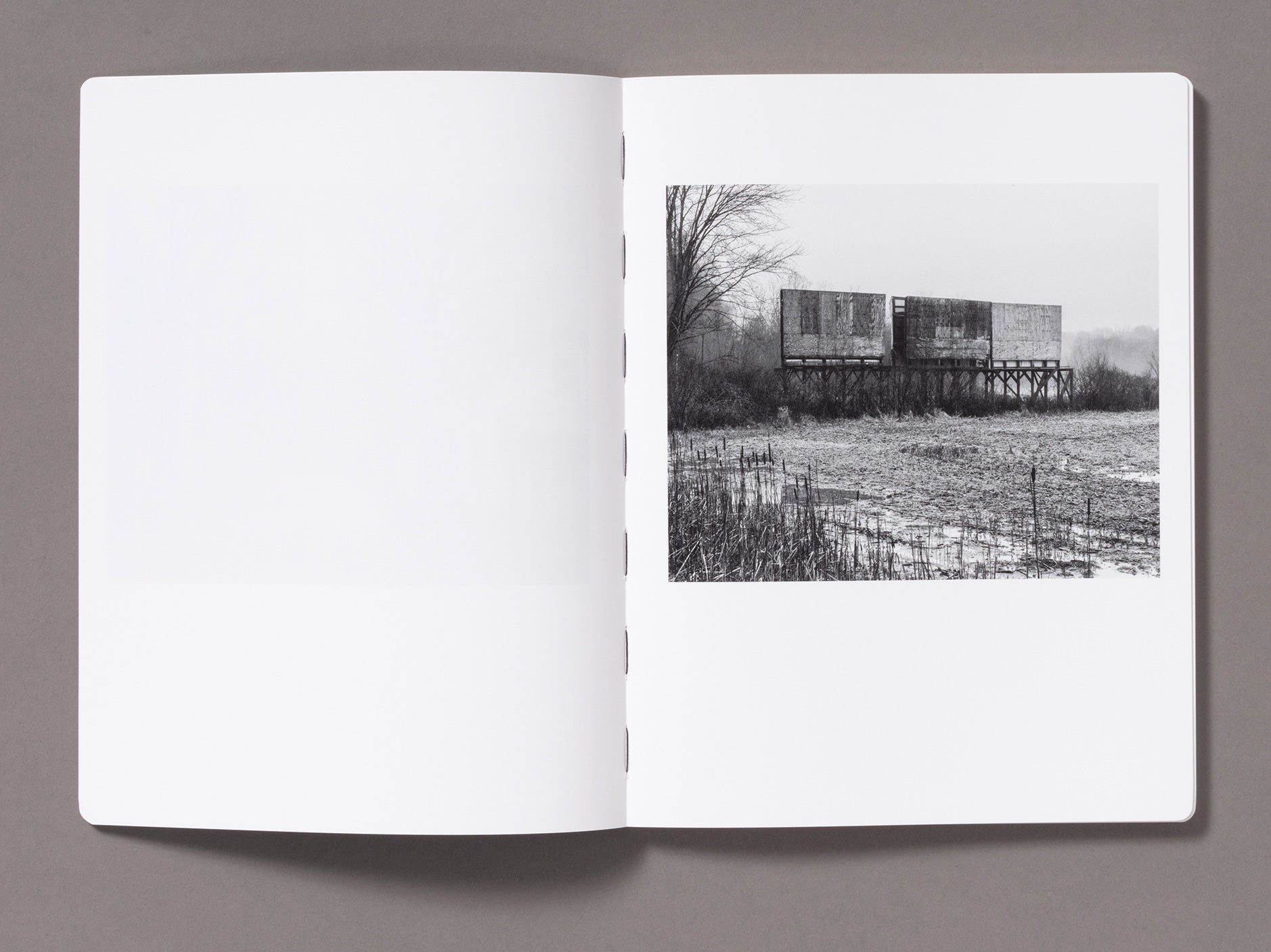 Snow - Vanessa Winship