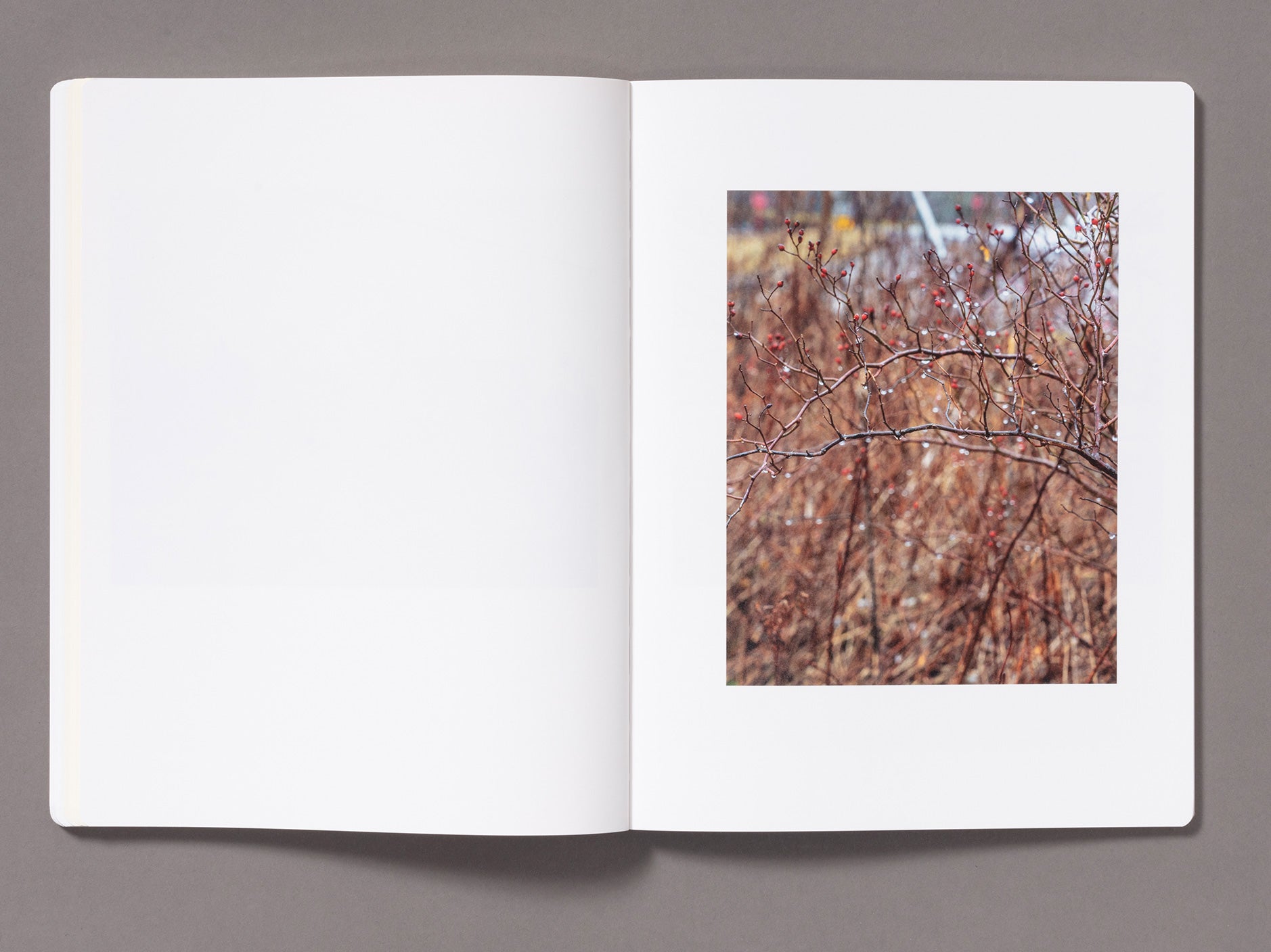 Snow - Vanessa Winship