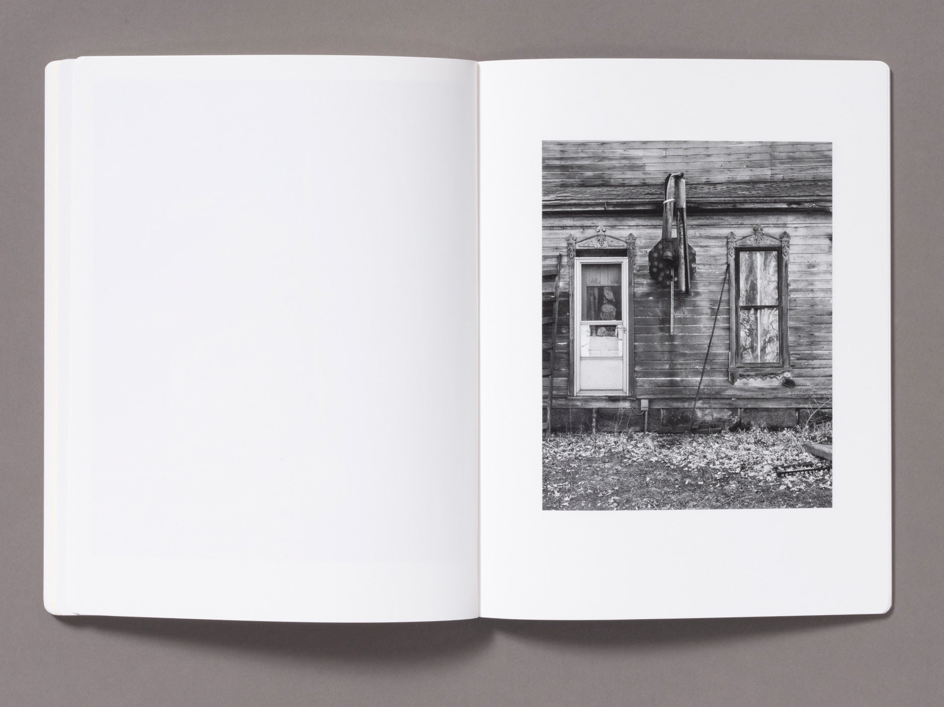 Snow - Vanessa Winship