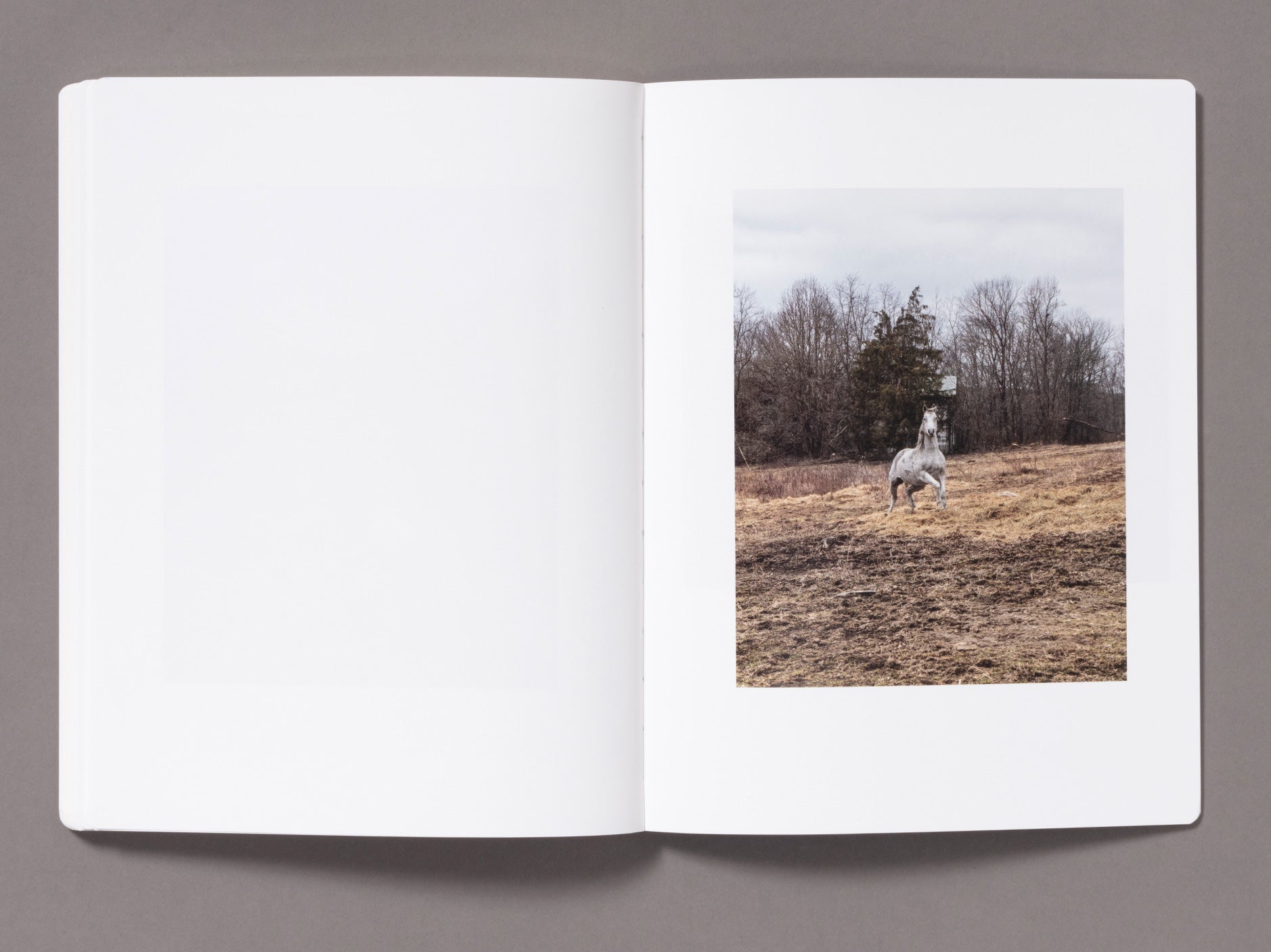 Snow - Vanessa Winship