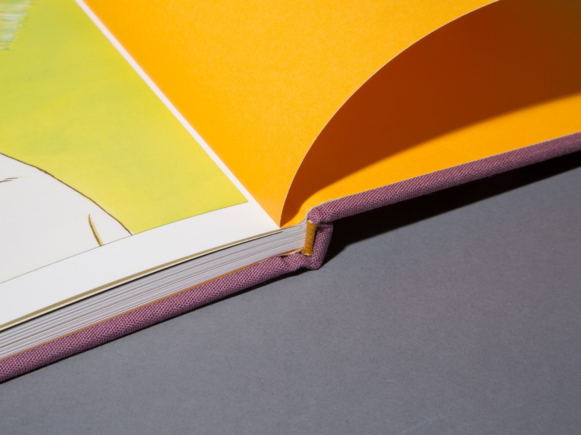 Hairdos Of Defiance - Ed Templeton