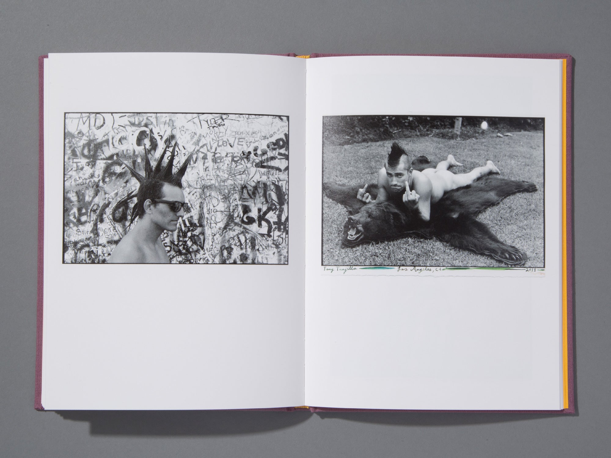 Hairdos Of Defiance - Ed Templeton