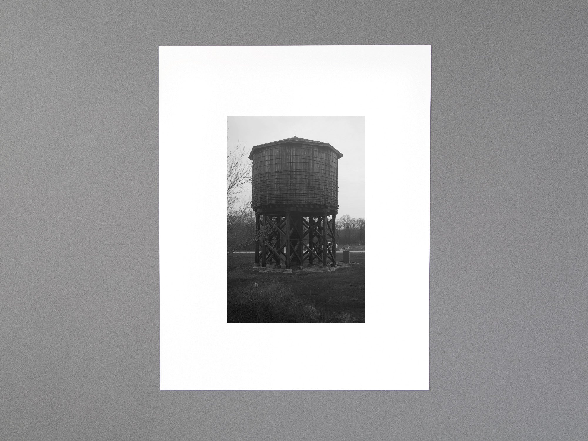 SPECIAL EDITION / Still Feel Gone - Tim Carpenter , Nathan Pearce