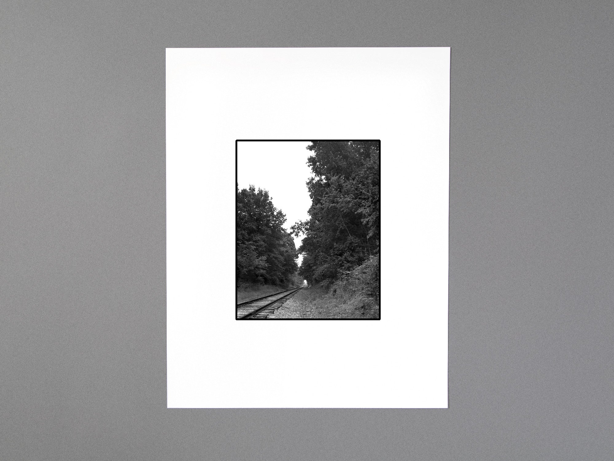 SPECIAL EDITION / Still Feel Gone - Tim Carpenter , Nathan Pearce