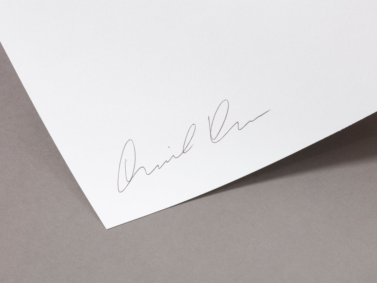 Special Edition / To Skip a Sinking Stone - Daniel Dorsa