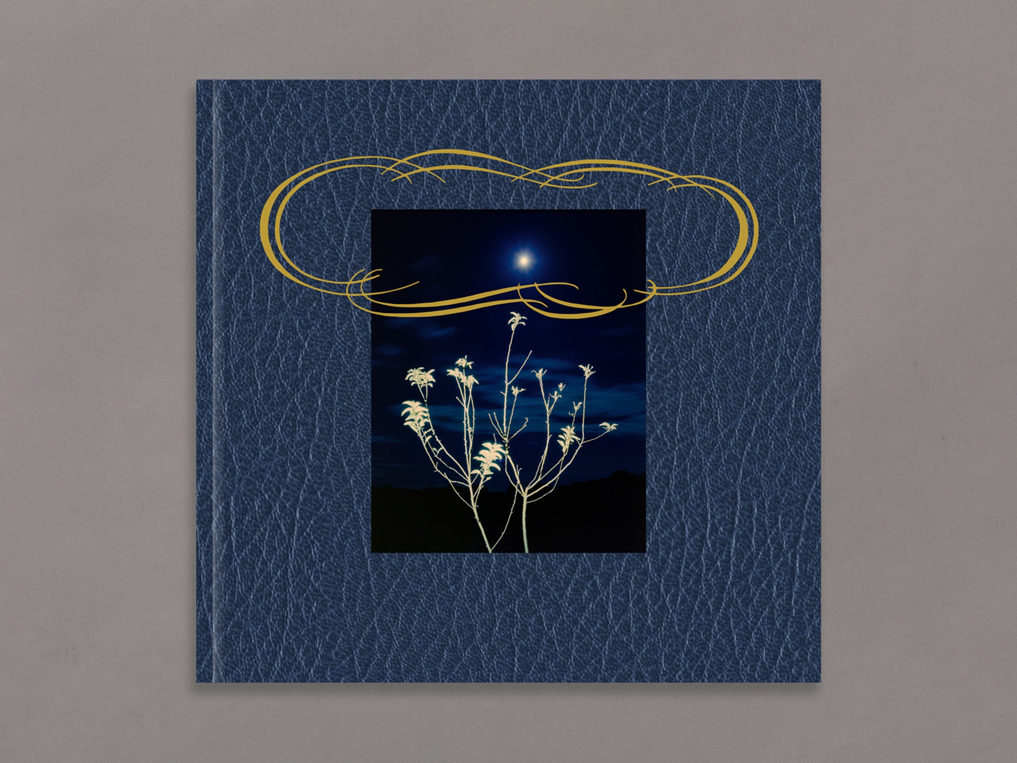 across the street from Heaven - Taylor Galloway