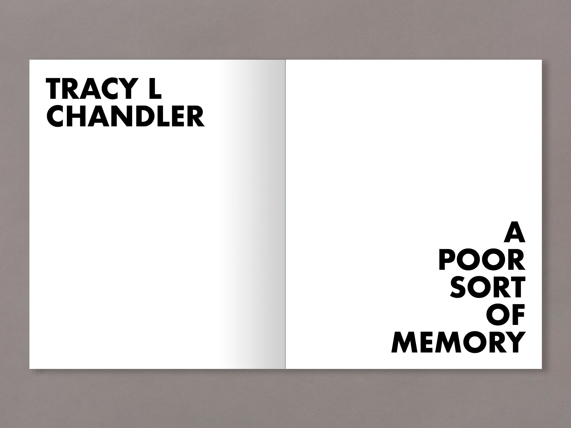 A Poor Sort of Memory - Tracy L Chandler