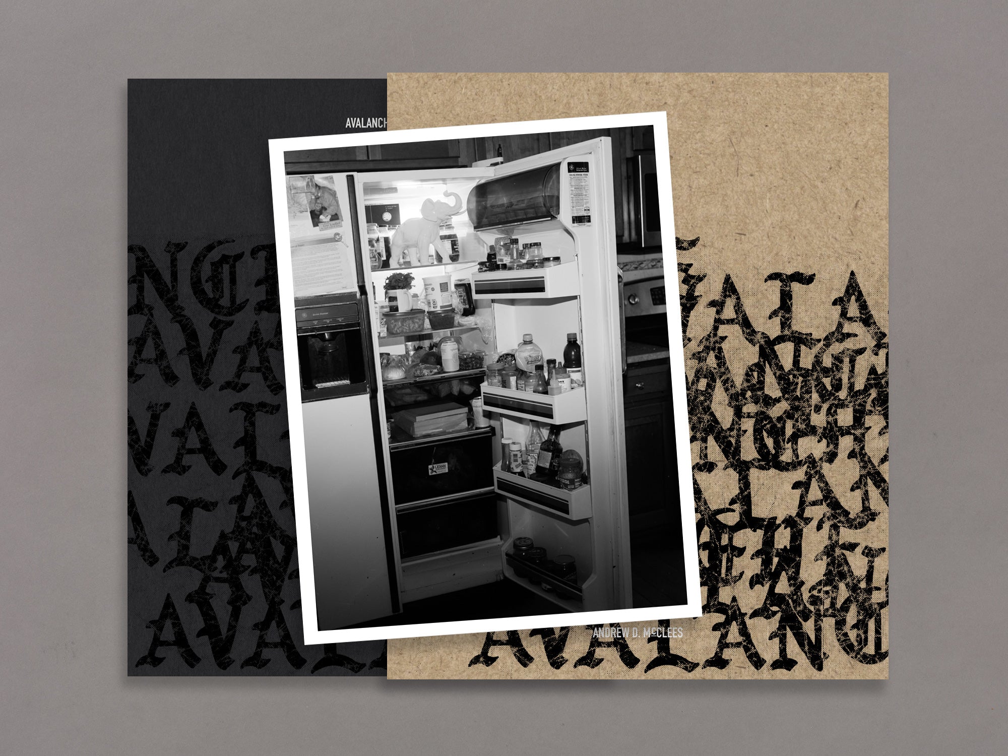 Special Edition / Avalanche - Andrew D. McClees