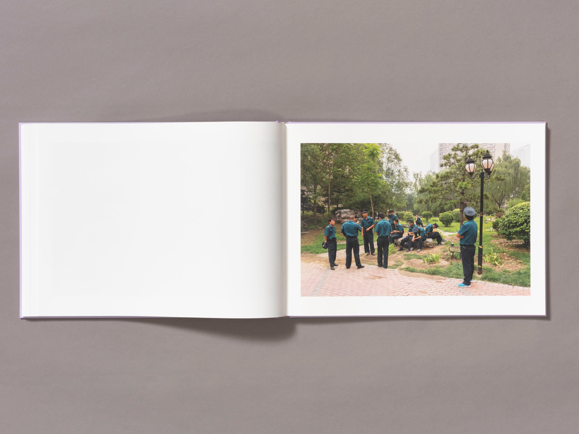 Special Edition / Mother's Land - Daniel Lee Postaer