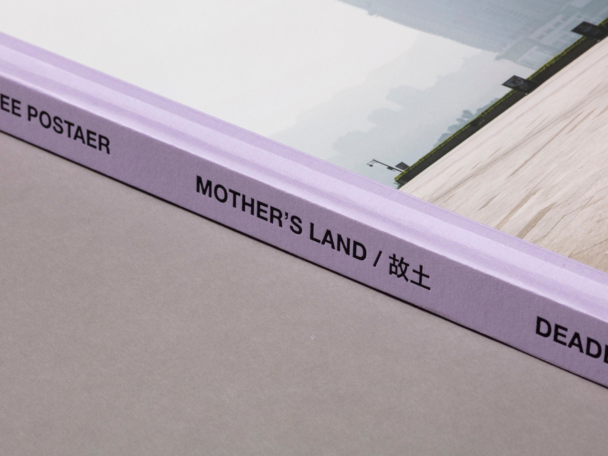 Special Edition / Mother's Land - Daniel Lee Postaer
