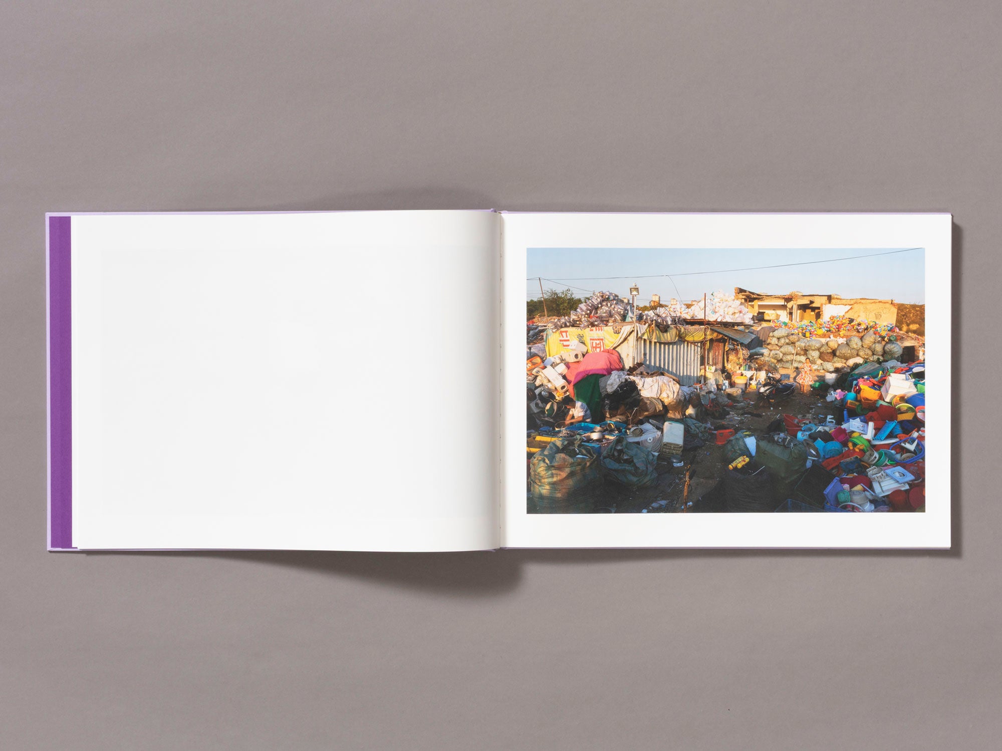 Special Edition / Mother's Land - Daniel Lee Postaer