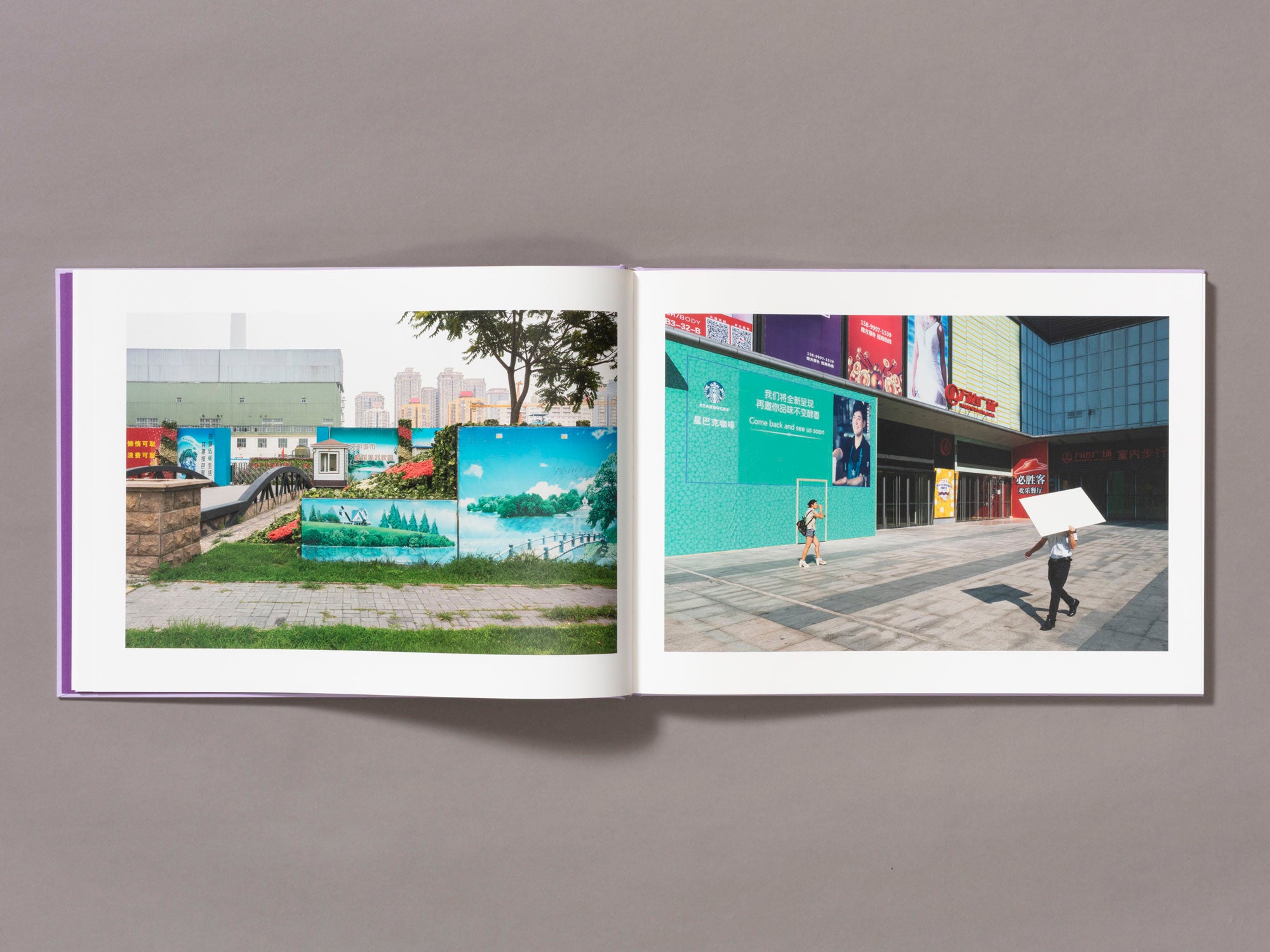 Special Edition / Mother's Land - Daniel Lee Postaer