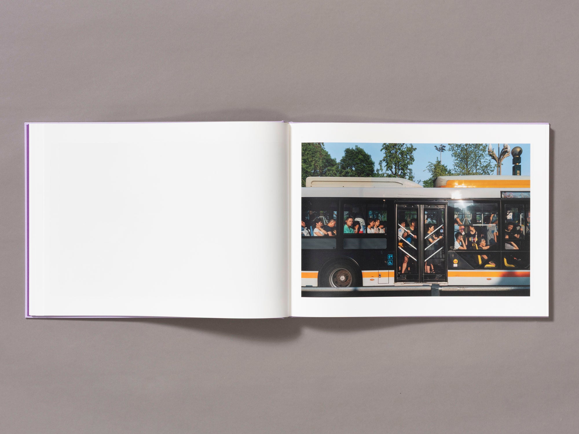 Special Edition / Mother's Land - Daniel Lee Postaer