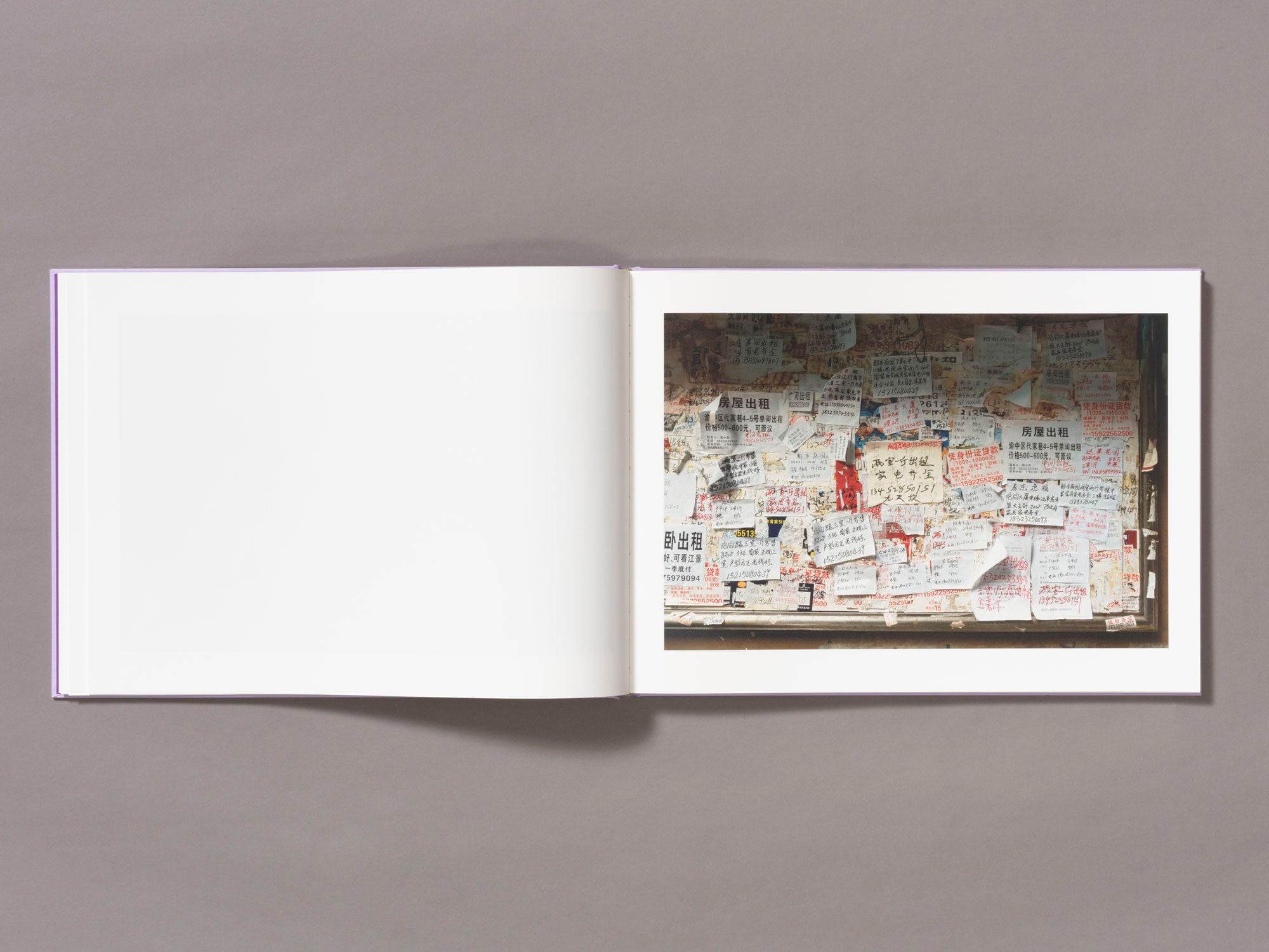 Special Edition / Mother's Land - Daniel Lee Postaer