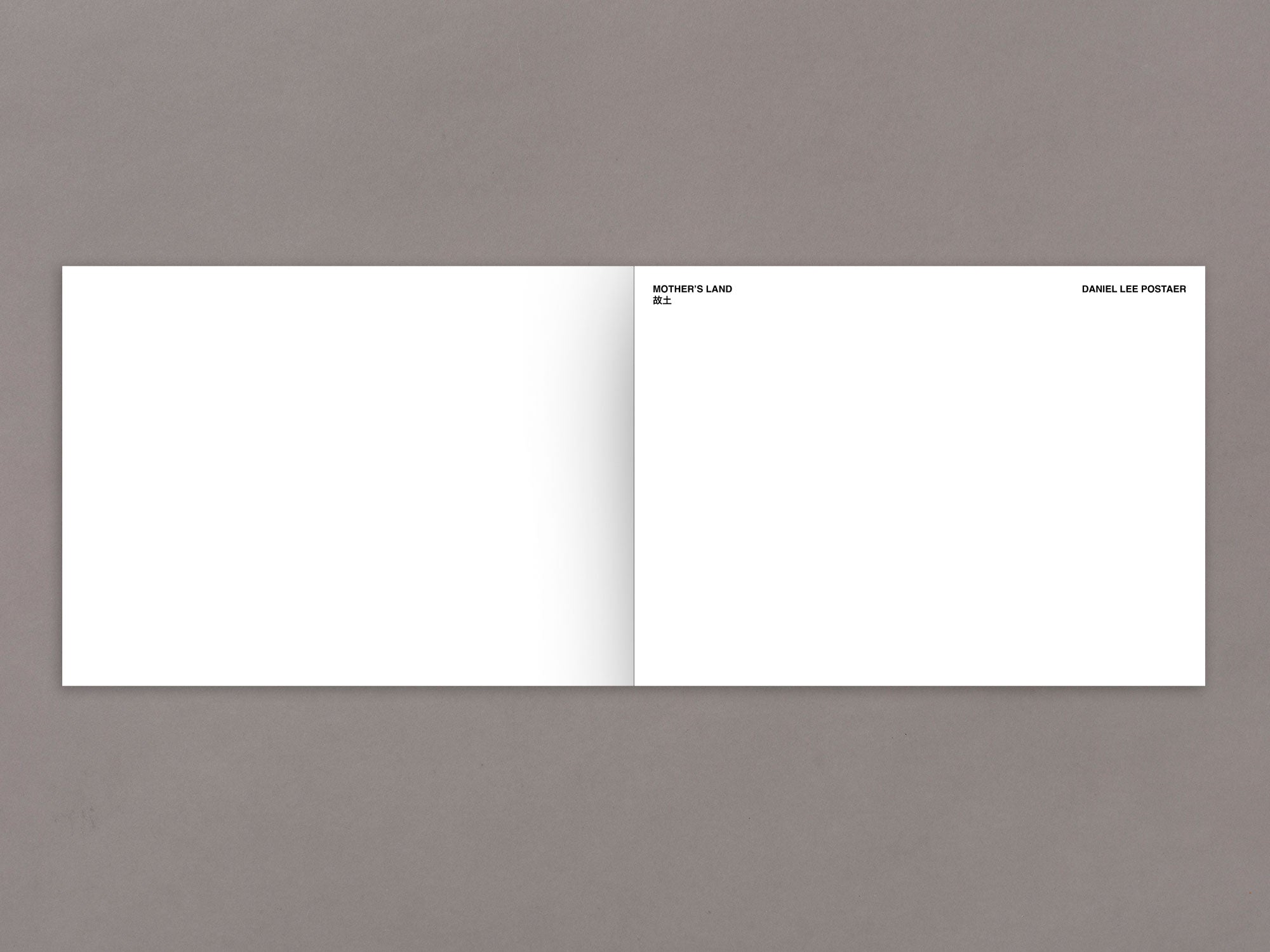 Mother's Land - Daniel Lee Postaer