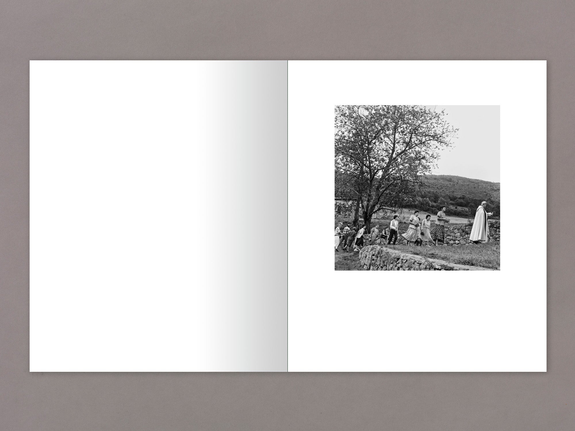 Special Edition / Gure Bazterrak (Our Land) - Anne Rearick