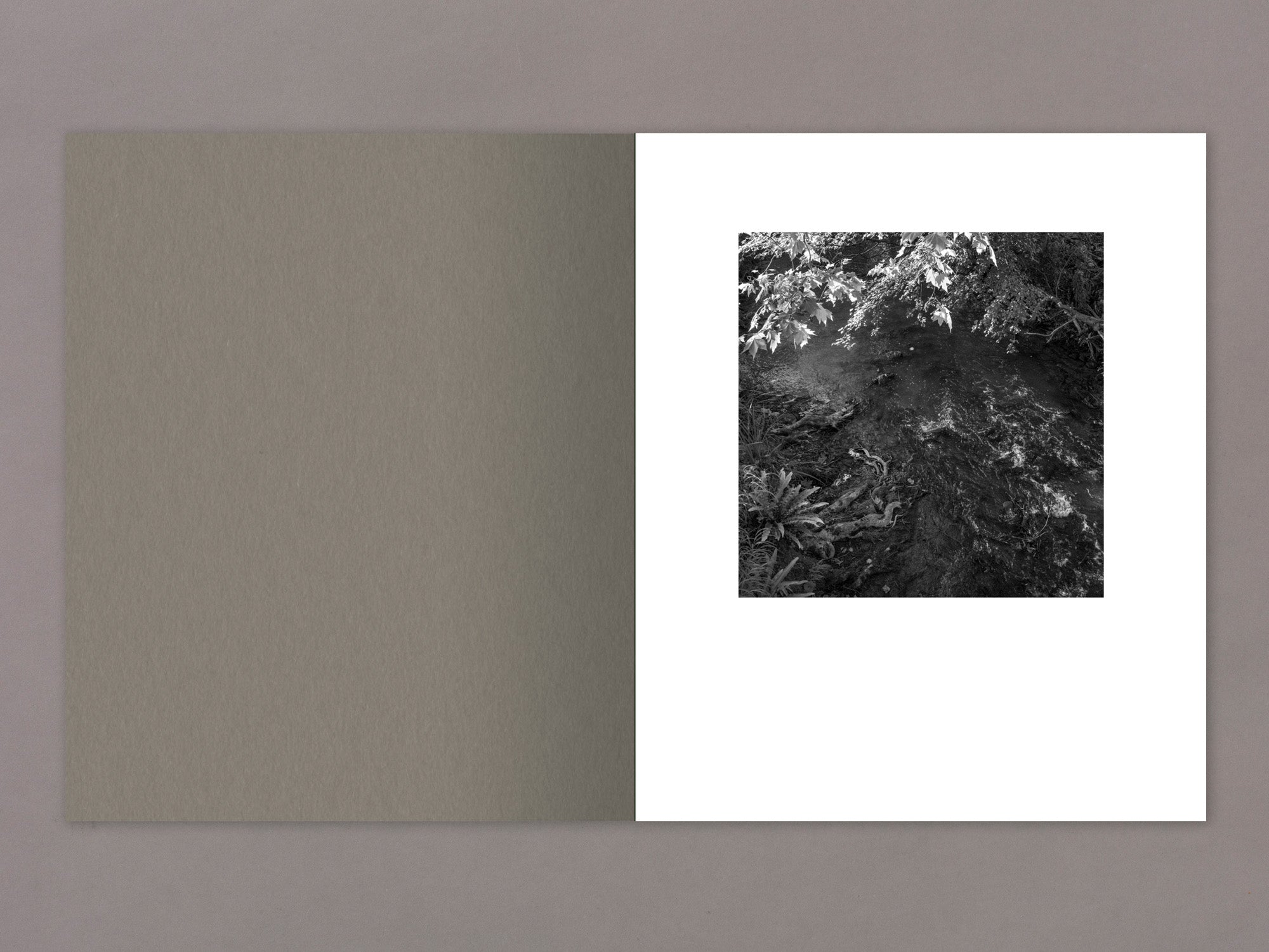 Special Edition / Gure Bazterrak (Our Land) - Anne Rearick