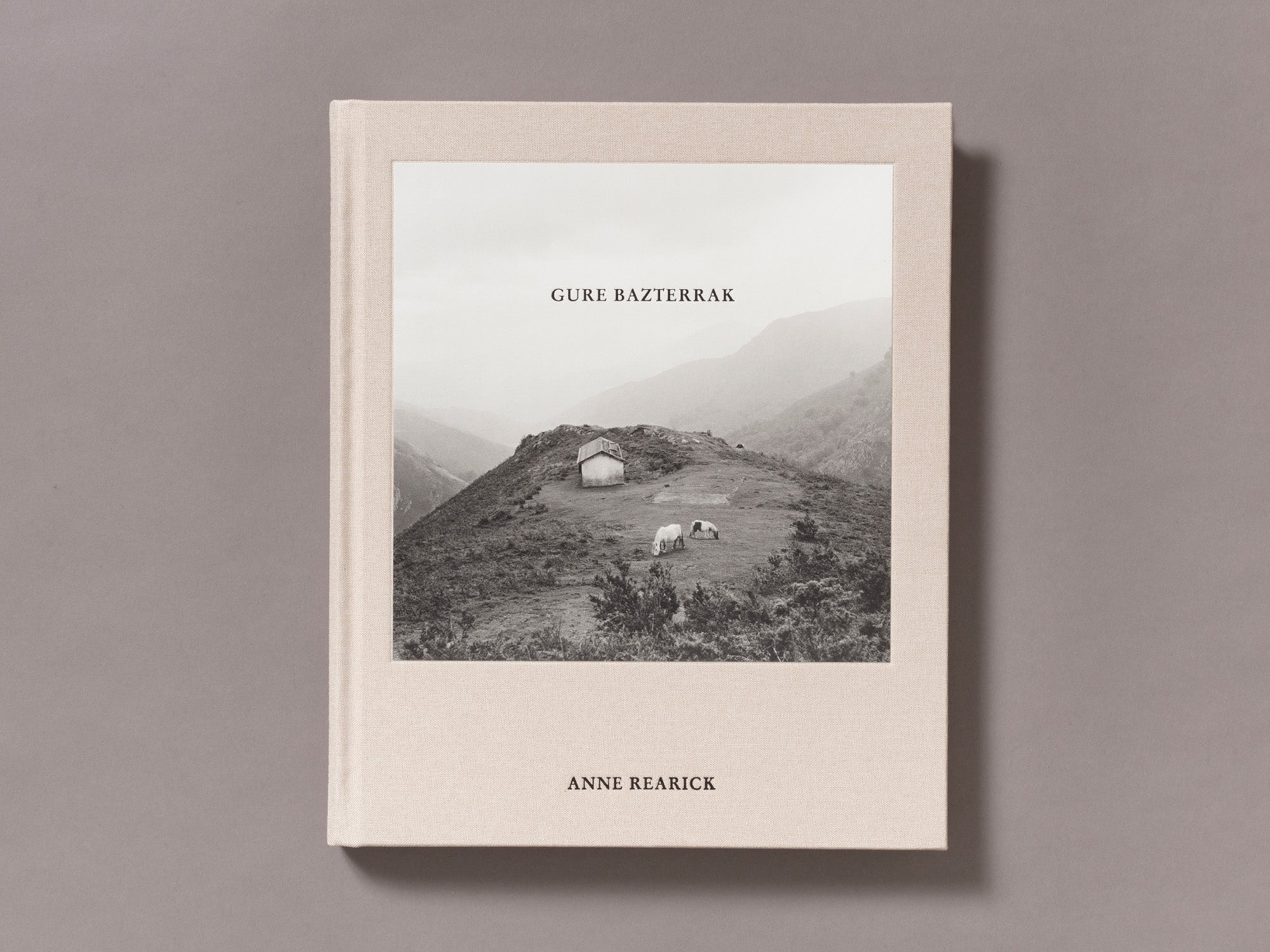 Gure Bazterrak (Our Land) - Anne Rearick