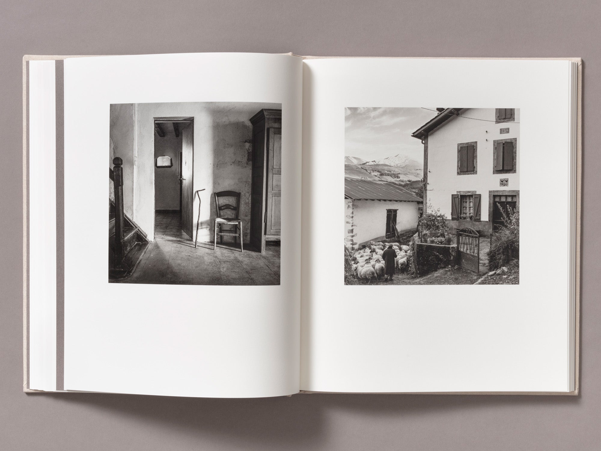 Special Edition / Gure Bazterrak (Our Land) - Anne Rearick