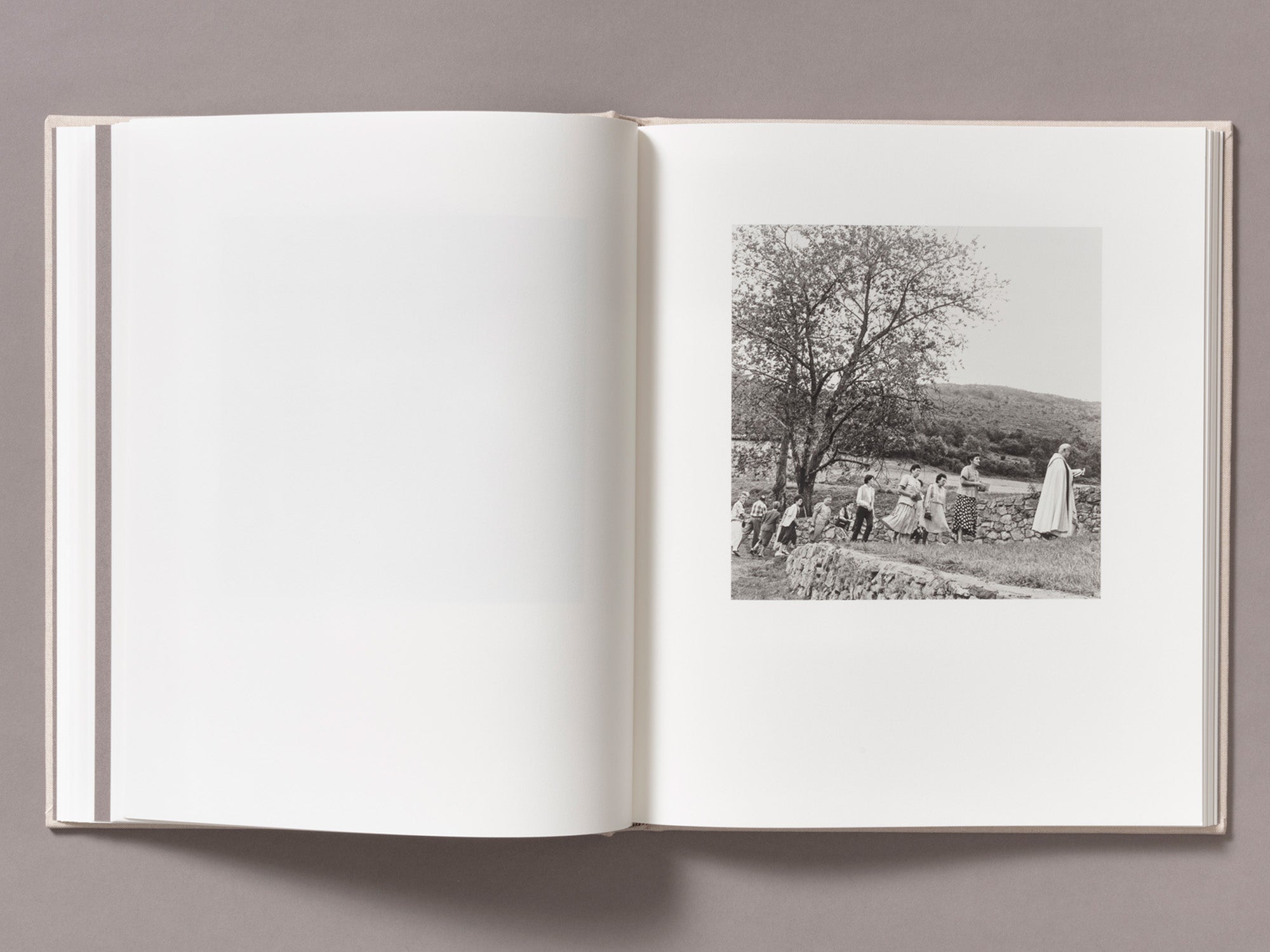 Special Edition / Gure Bazterrak (Our Land) - Anne Rearick