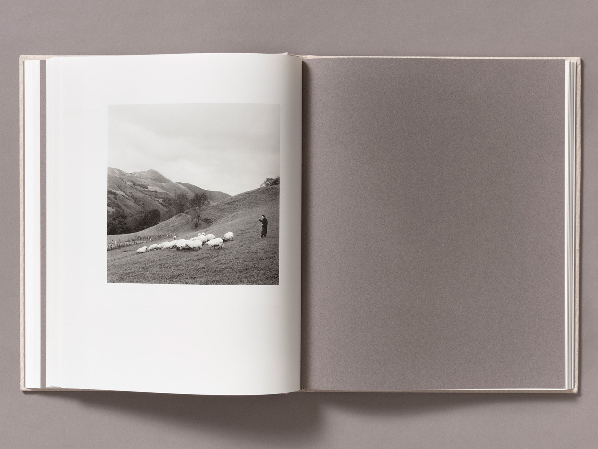 Special Edition / Gure Bazterrak (Our Land) - Anne Rearick