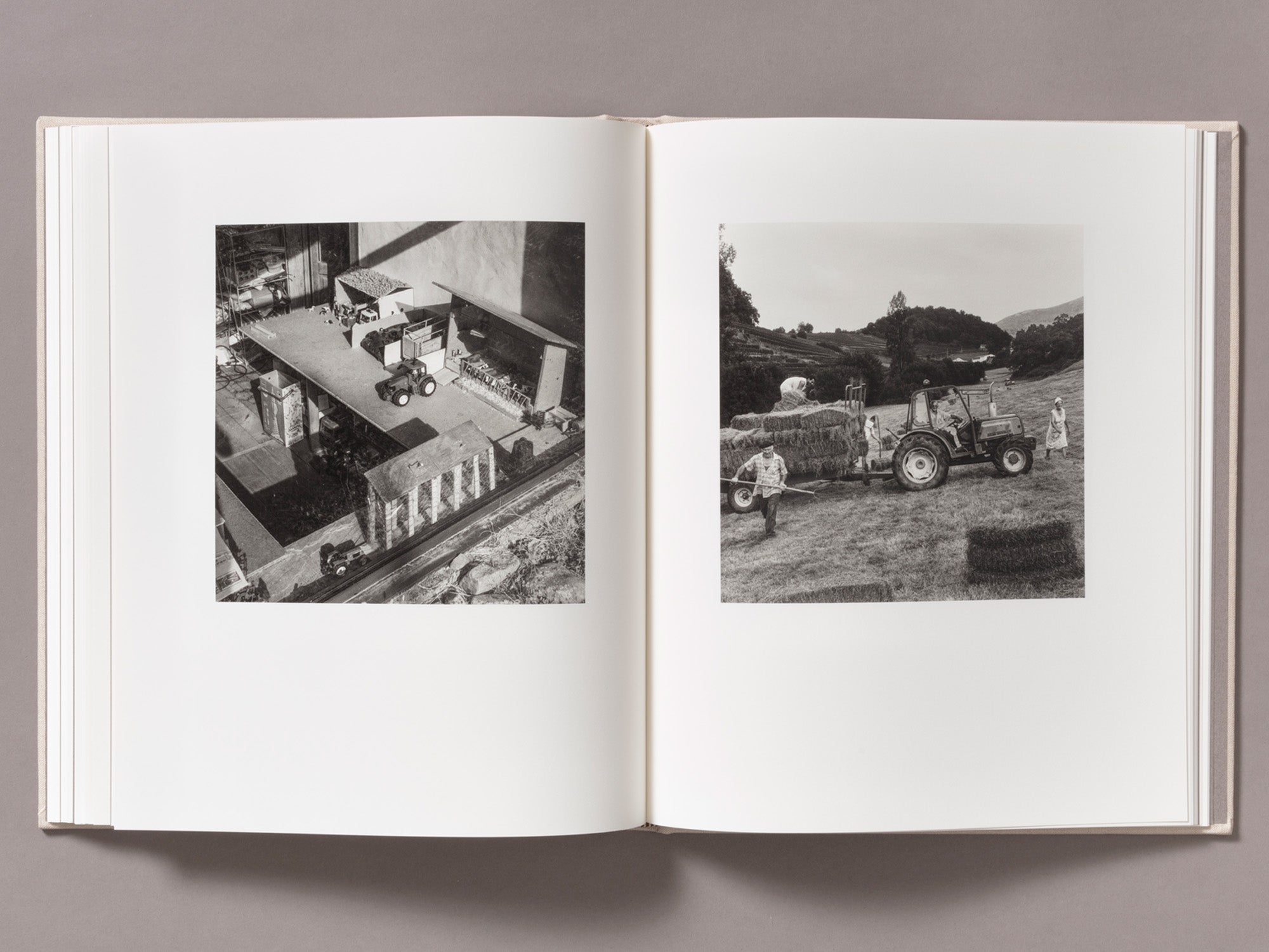 Special Edition / Gure Bazterrak (Our Land) - Anne Rearick