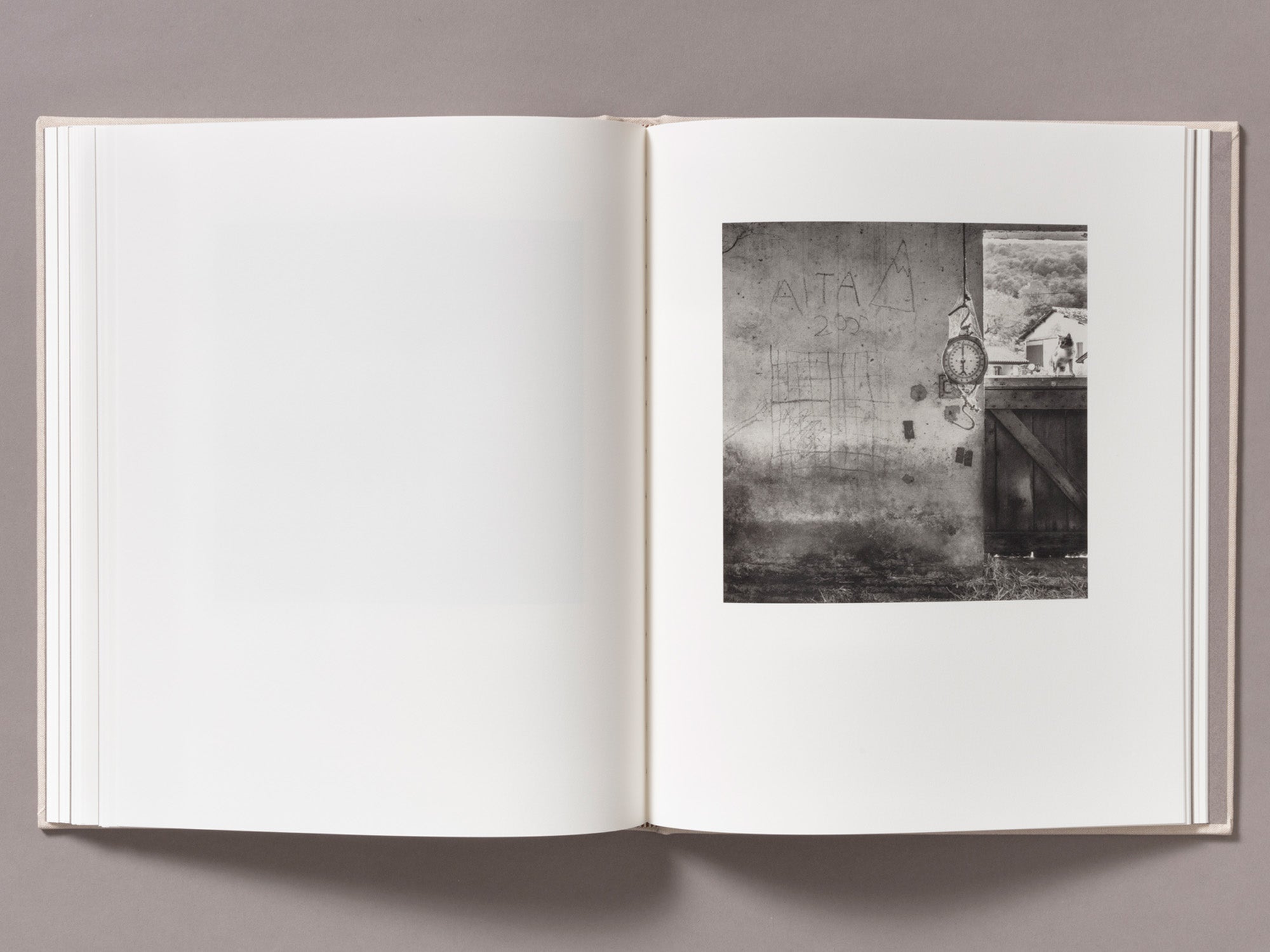 Special Edition / Gure Bazterrak (Our Land) - Anne Rearick