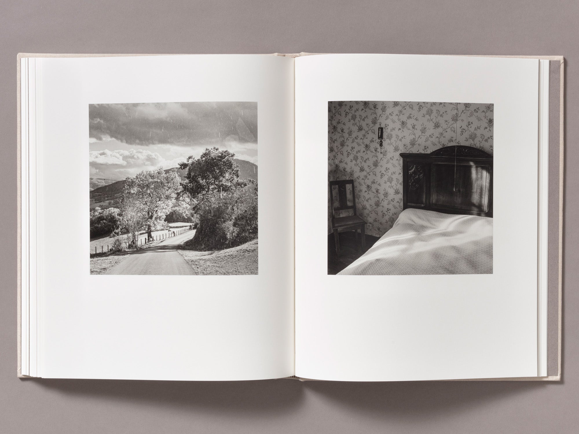 Special Edition / Gure Bazterrak (Our Land) - Anne Rearick