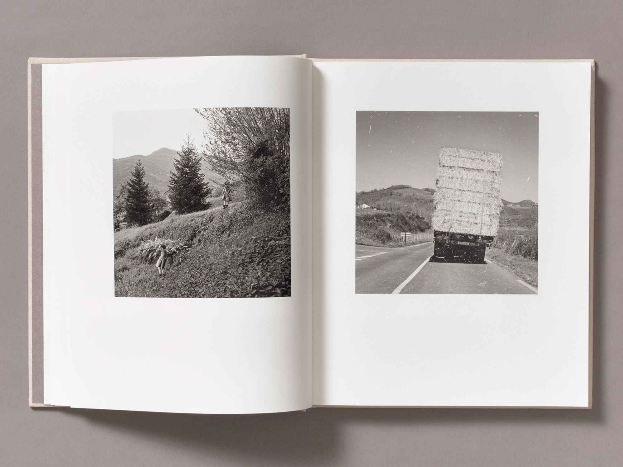 Special Edition / Gure Bazterrak (Our Land) - Anne Rearick