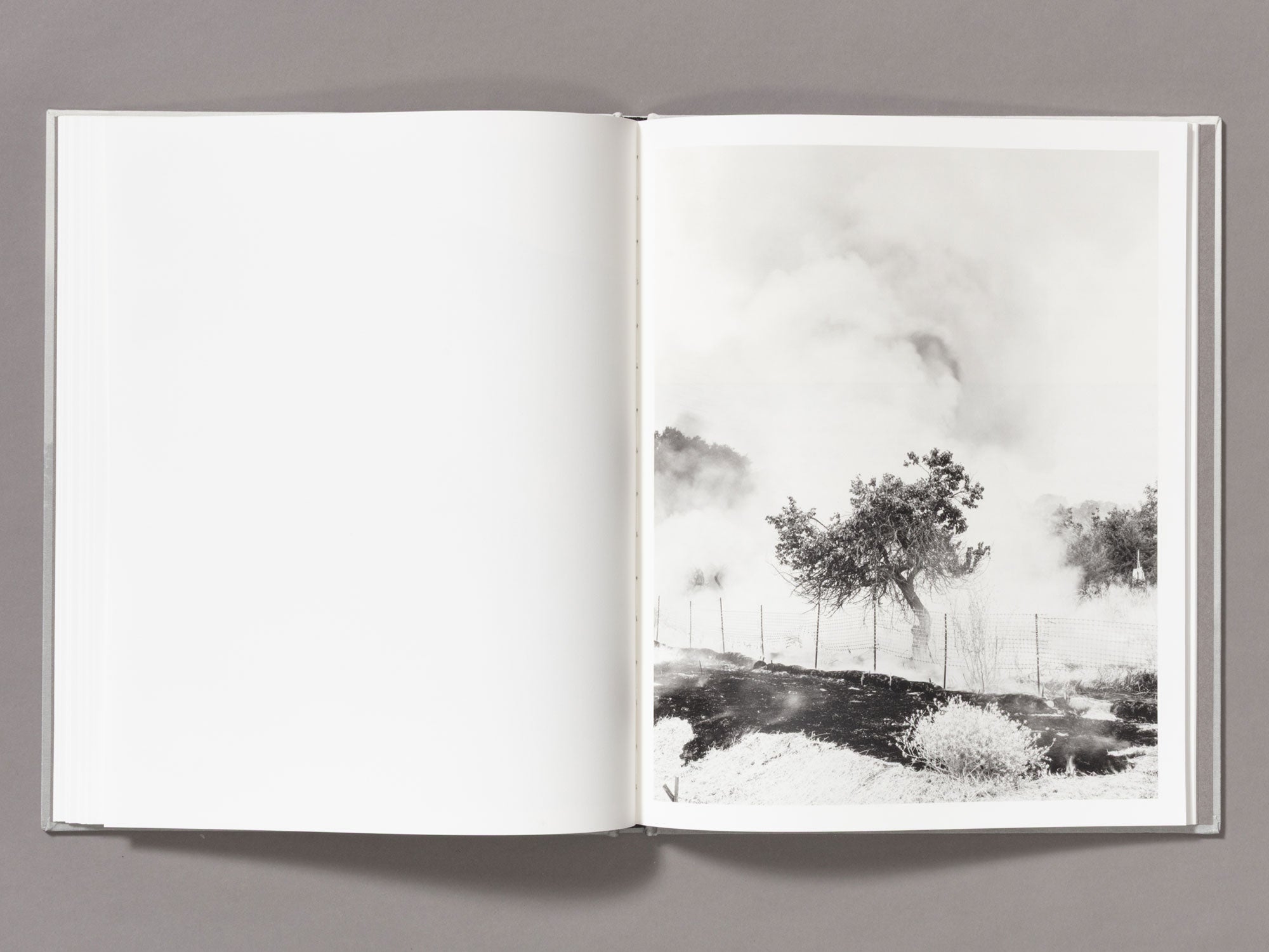 Special Edition / The Weight Of Ash - Ian Bates