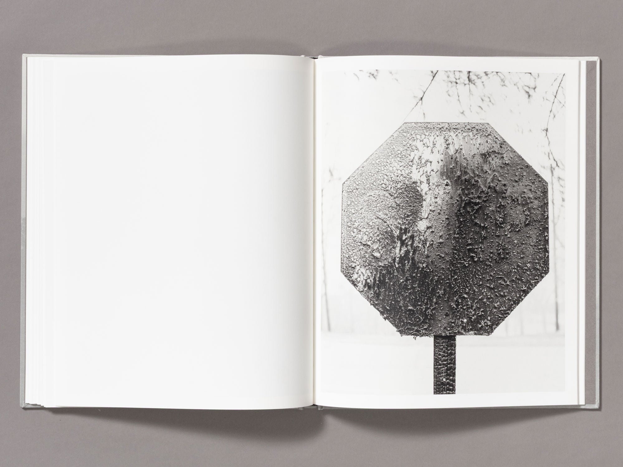 Special Edition / The Weight Of Ash - Ian Bates