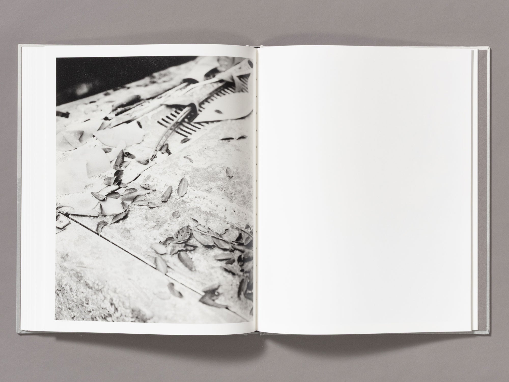 Special Edition / The Weight Of Ash - Ian Bates